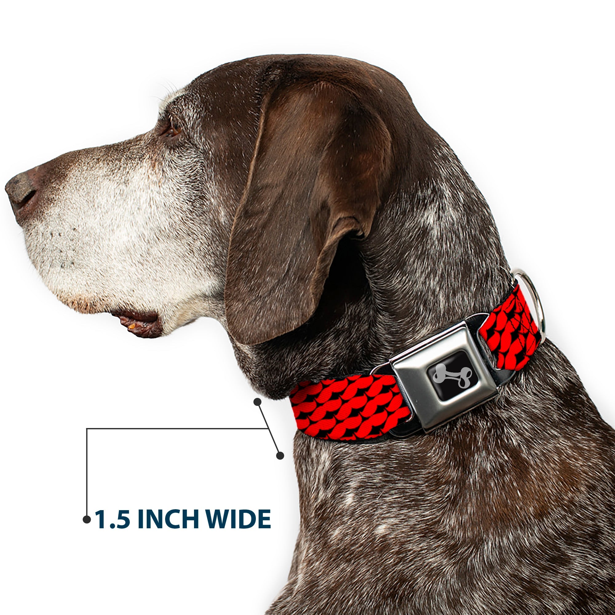 Dog Bone Seatbelt Buckle Collar - Mustache Monogram Black/Red