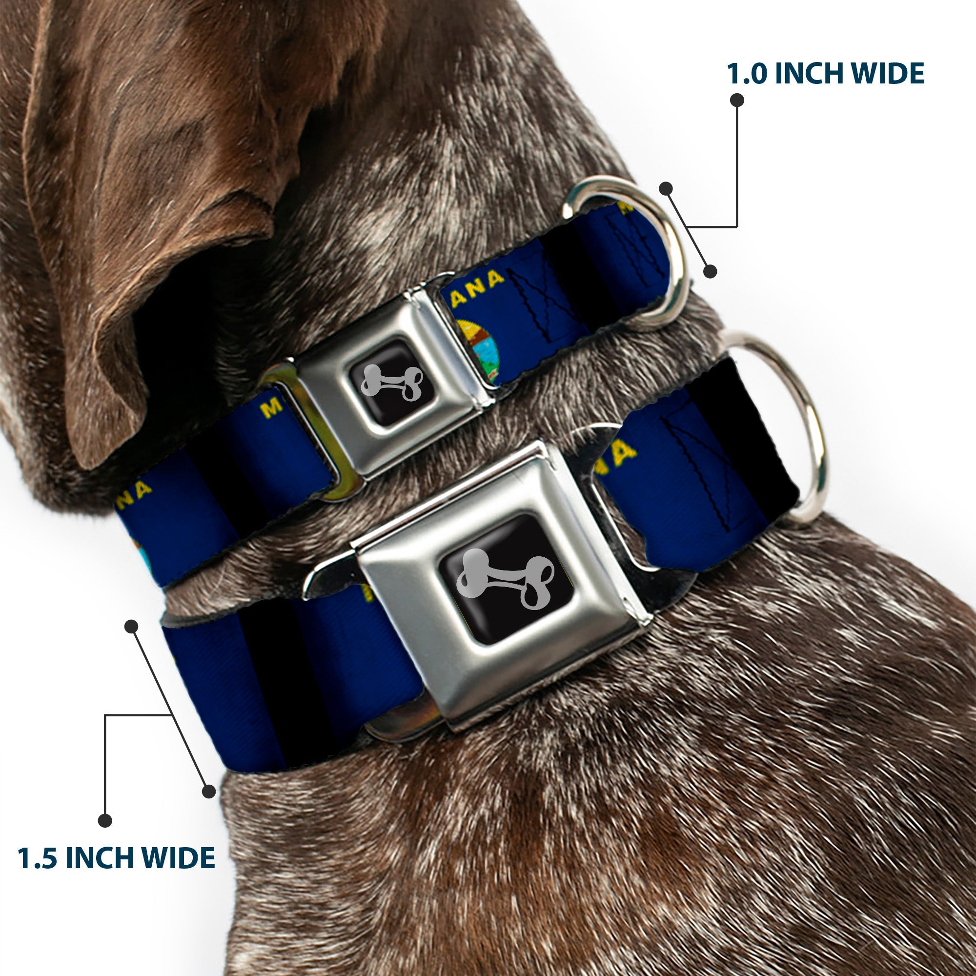 Dog Bone Seatbelt Buckle Collar - Montana Flags2