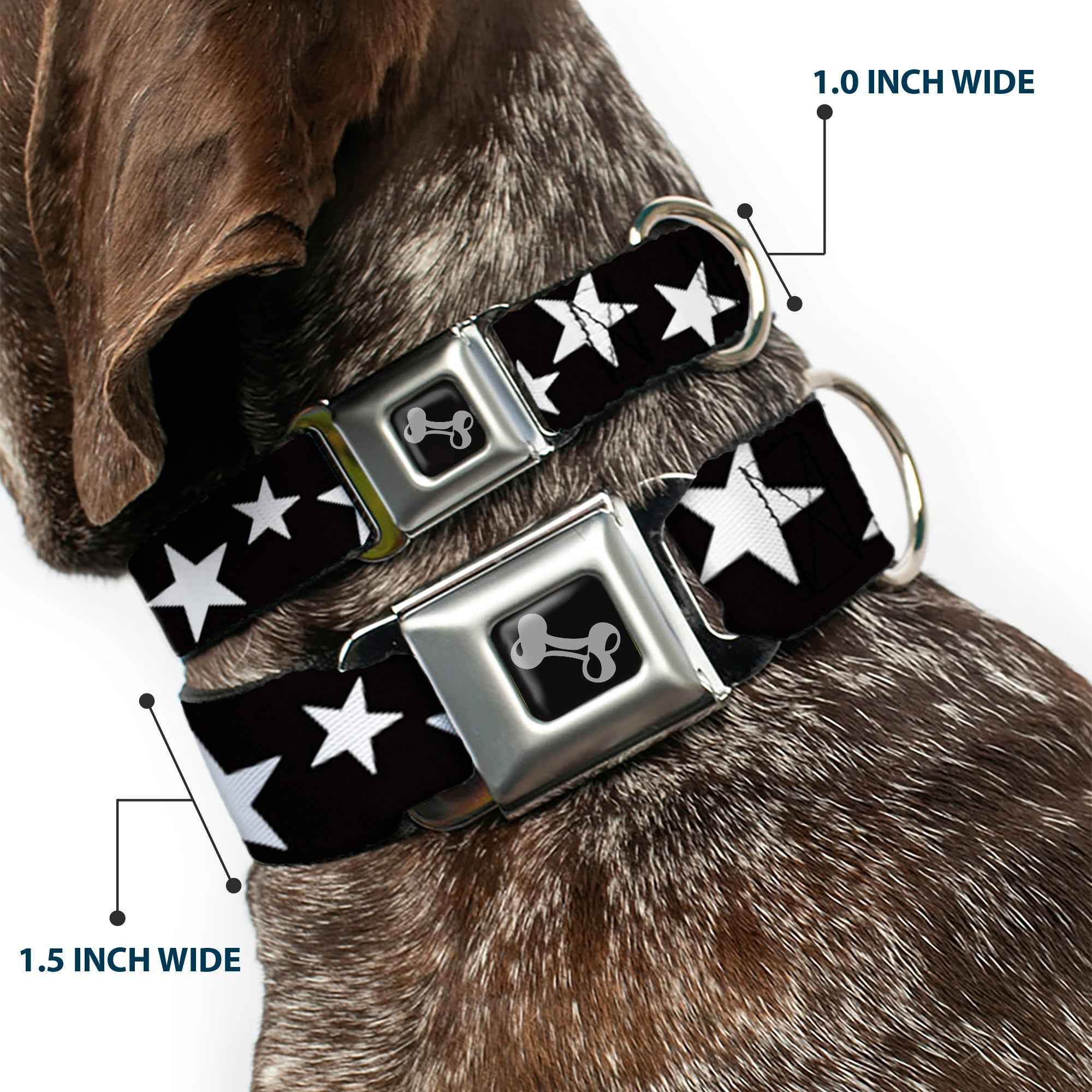 Buckle-Down Multi Stars Black/White Seatbelt Buckle Dog Collar
