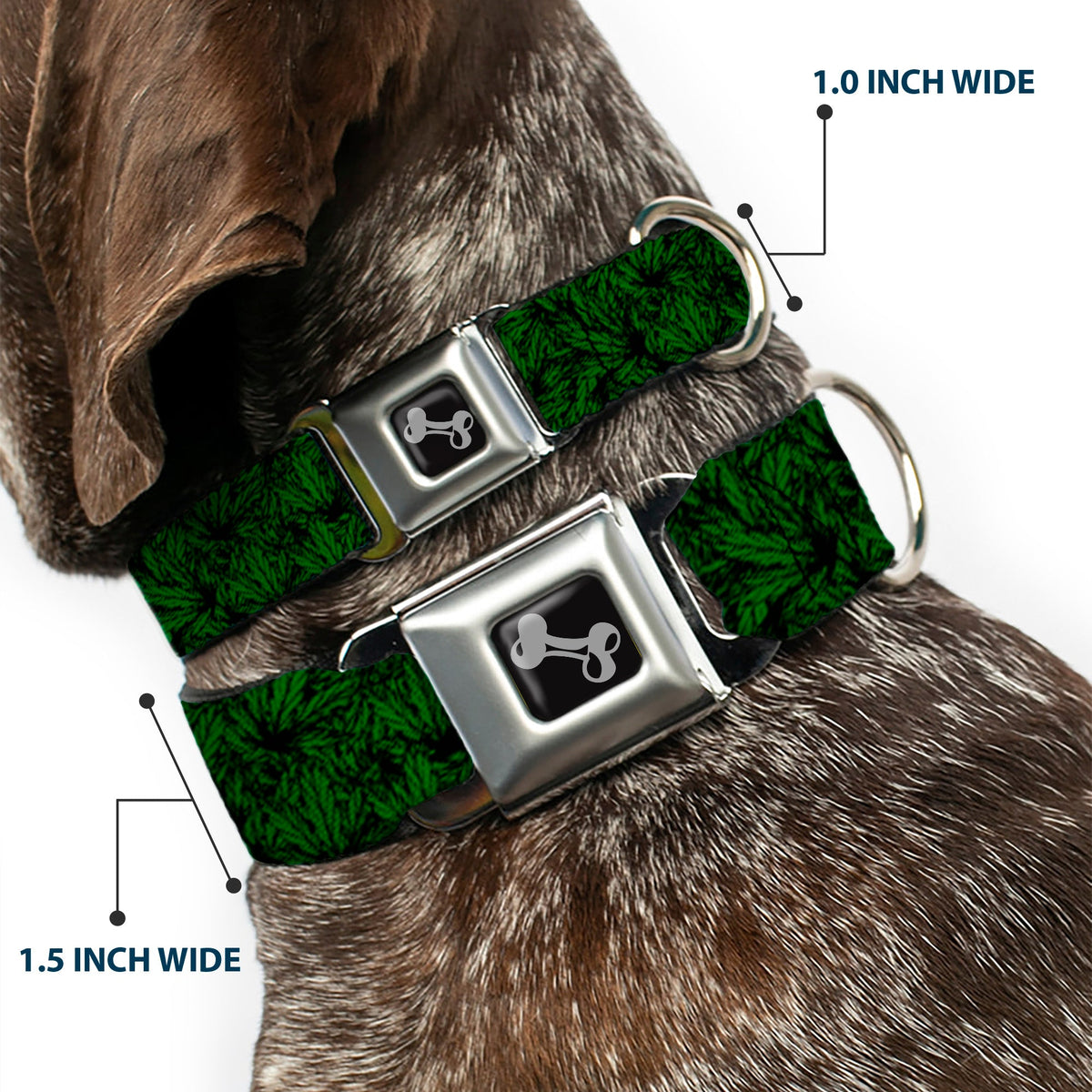 Buckle-Down Seatbelt Buckle Dog Collar - Marijuana Leaves Stacked Black/Green