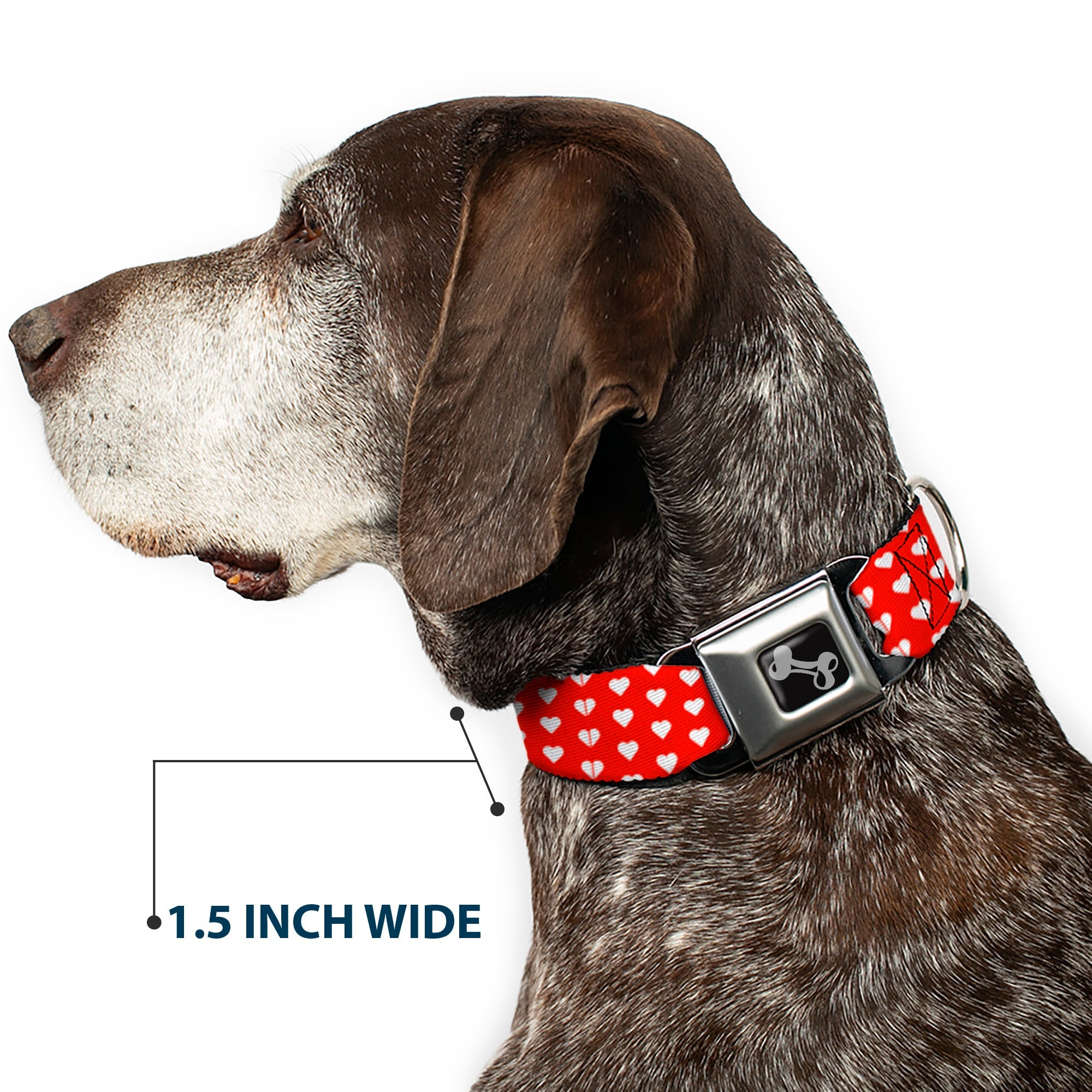 Buckle-Down Mini Hearts Monogram Red/White Seatbelt Buckle Dog Collar