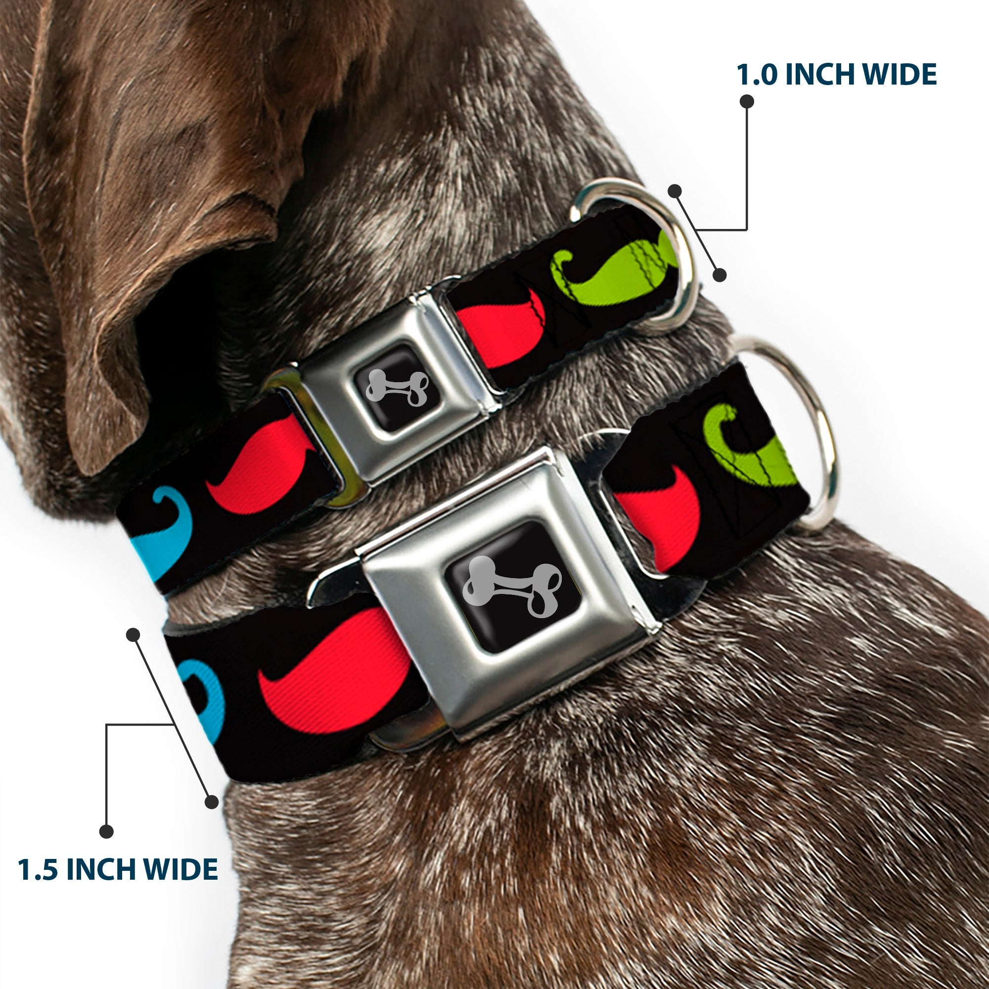 Dog Bone Seatbelt Buckle Collar - Mustaches-4 Black/Multi Color
