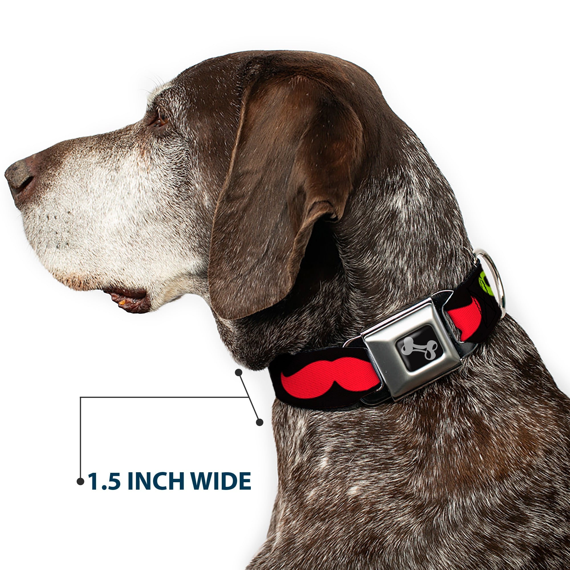 Dog Bone Seatbelt Buckle Collar - Mustaches-4 Black/Multi Color