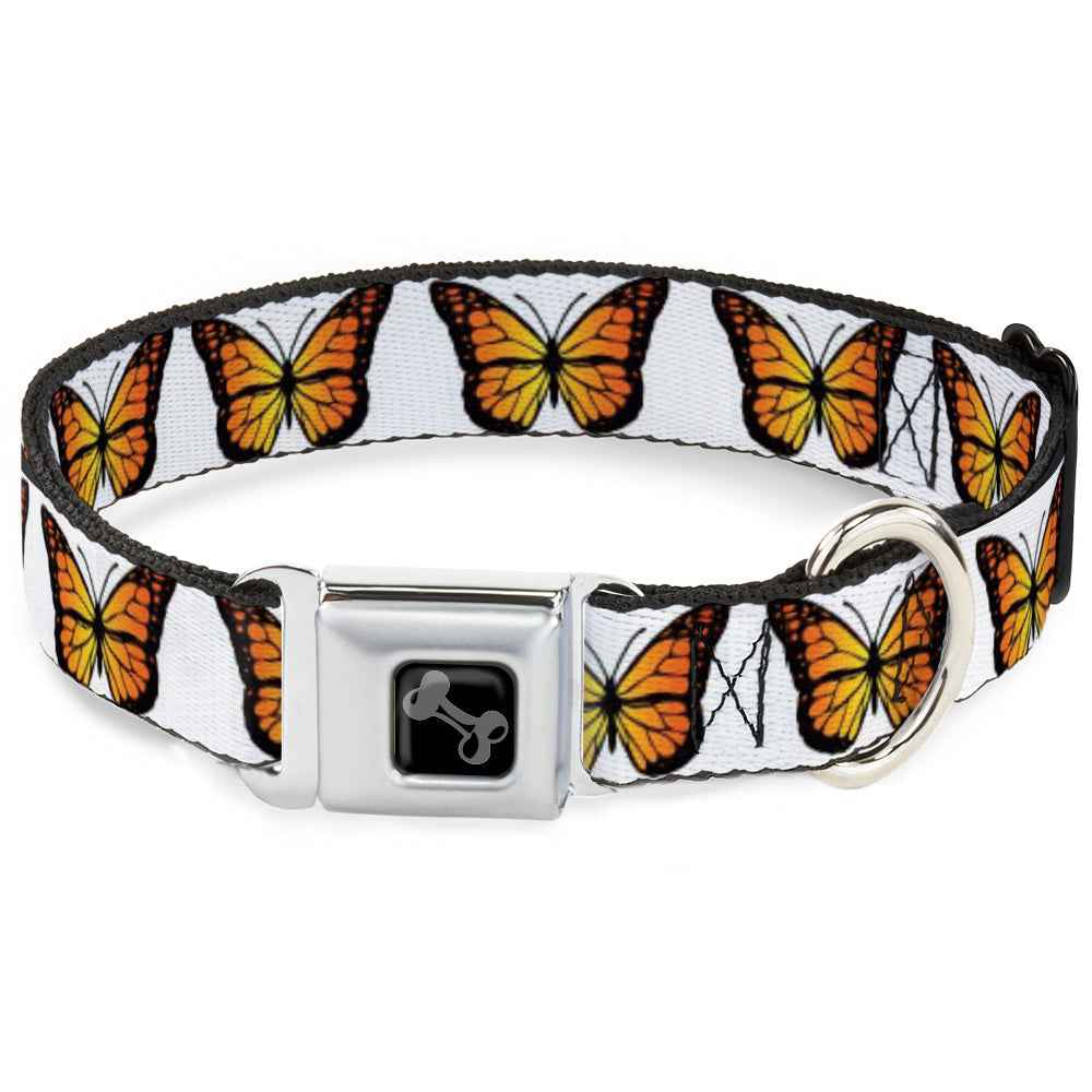 Buckle-Down Dog Bone Black/Silver Seatbelt Buckle Dog Collar - Monarch Butterfly Repeat White