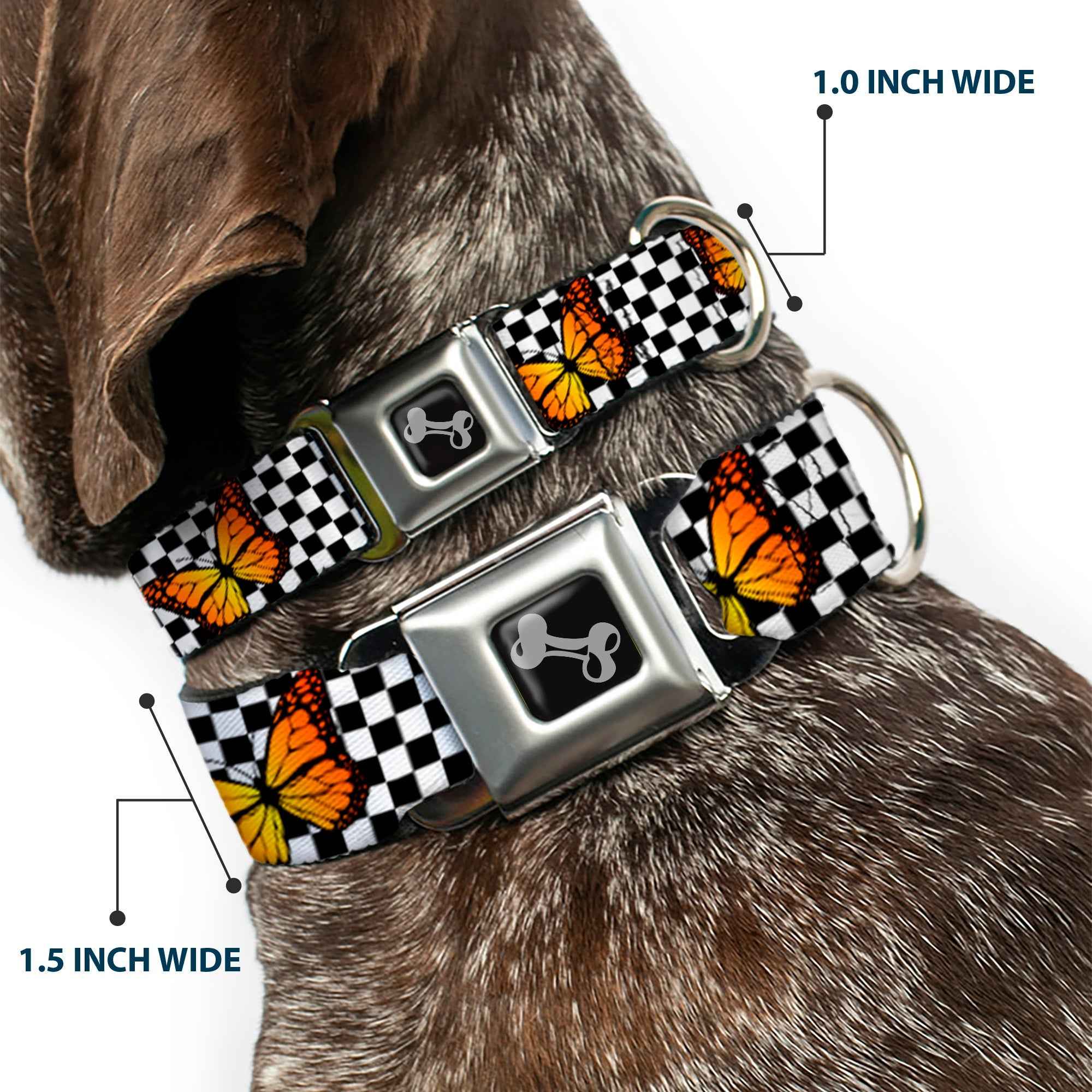 Buckle-Down Dog Bone Black/Silver Seatbelt Buckle Dog Collar - Monarch Butterfly Scattered Checker Black/White