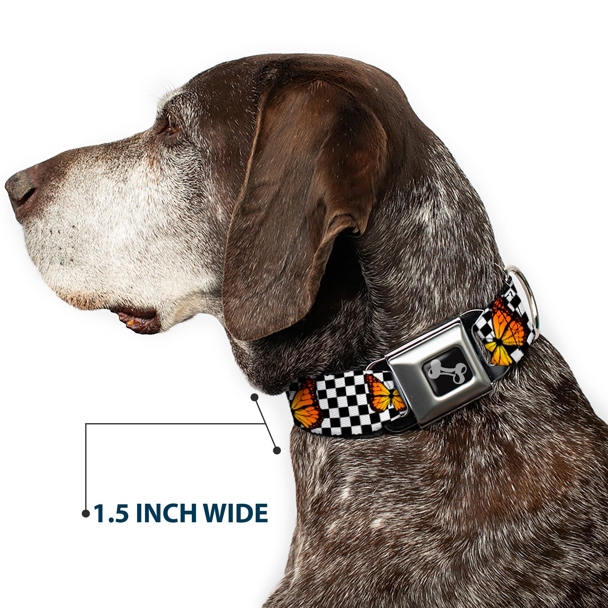 Buckle-Down Dog Bone Black/Silver Seatbelt Buckle Dog Collar - Monarch Butterfly Scattered Checker Black/White