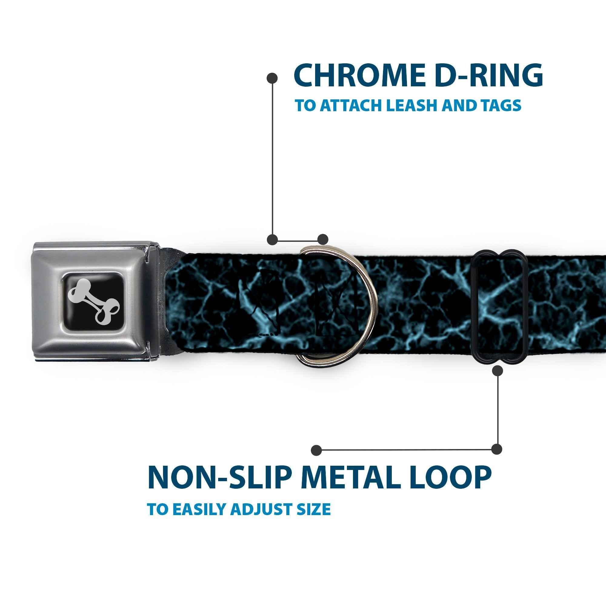 Buckle-Down Dog Bone Black/Silver Seatbelt Buckle Dog Collar - Marble Black/Baby Blue