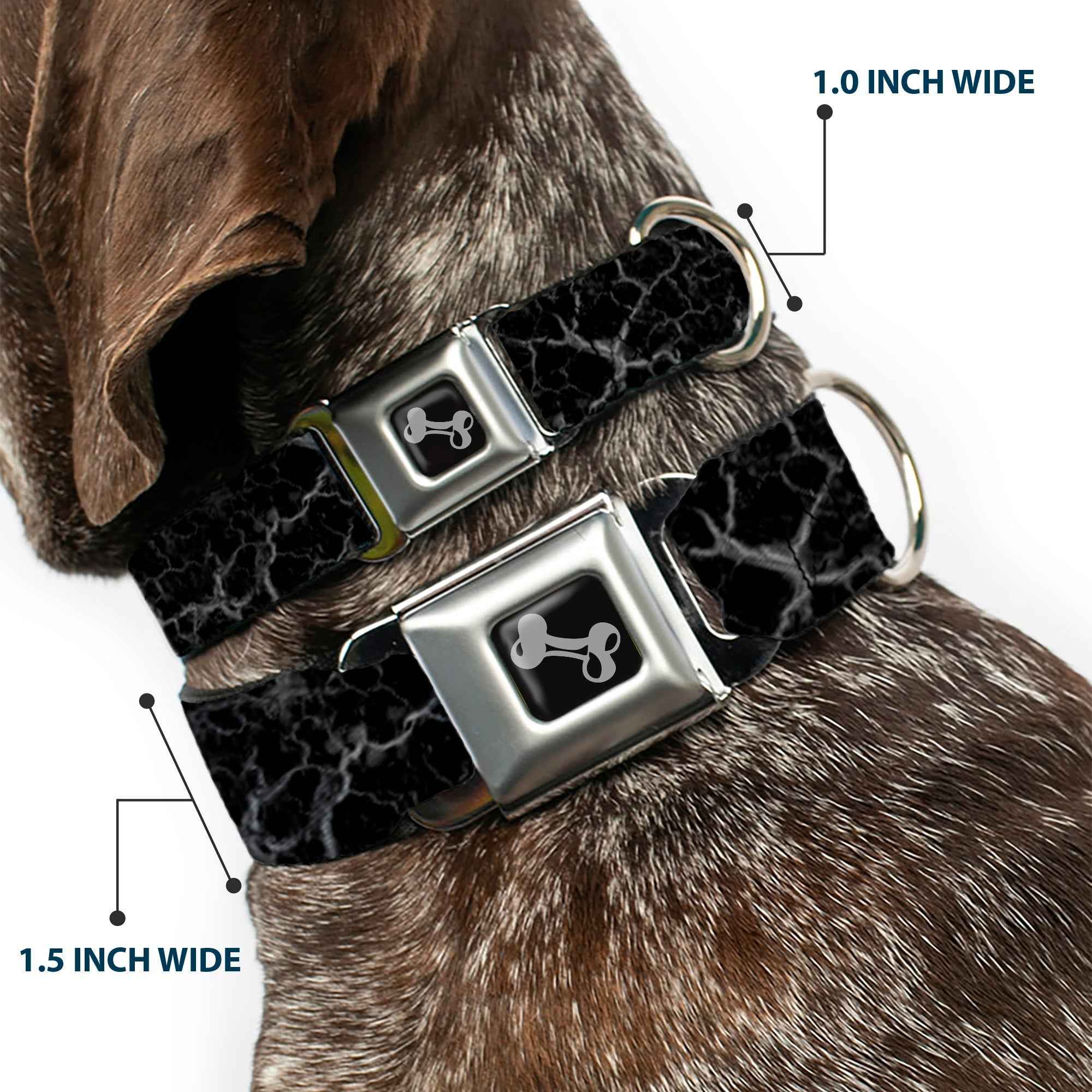 Buckle-Down Dog Bone Black/Silver Seatbelt Buckle Dog Collar - Marble Black/Charcoal Gray