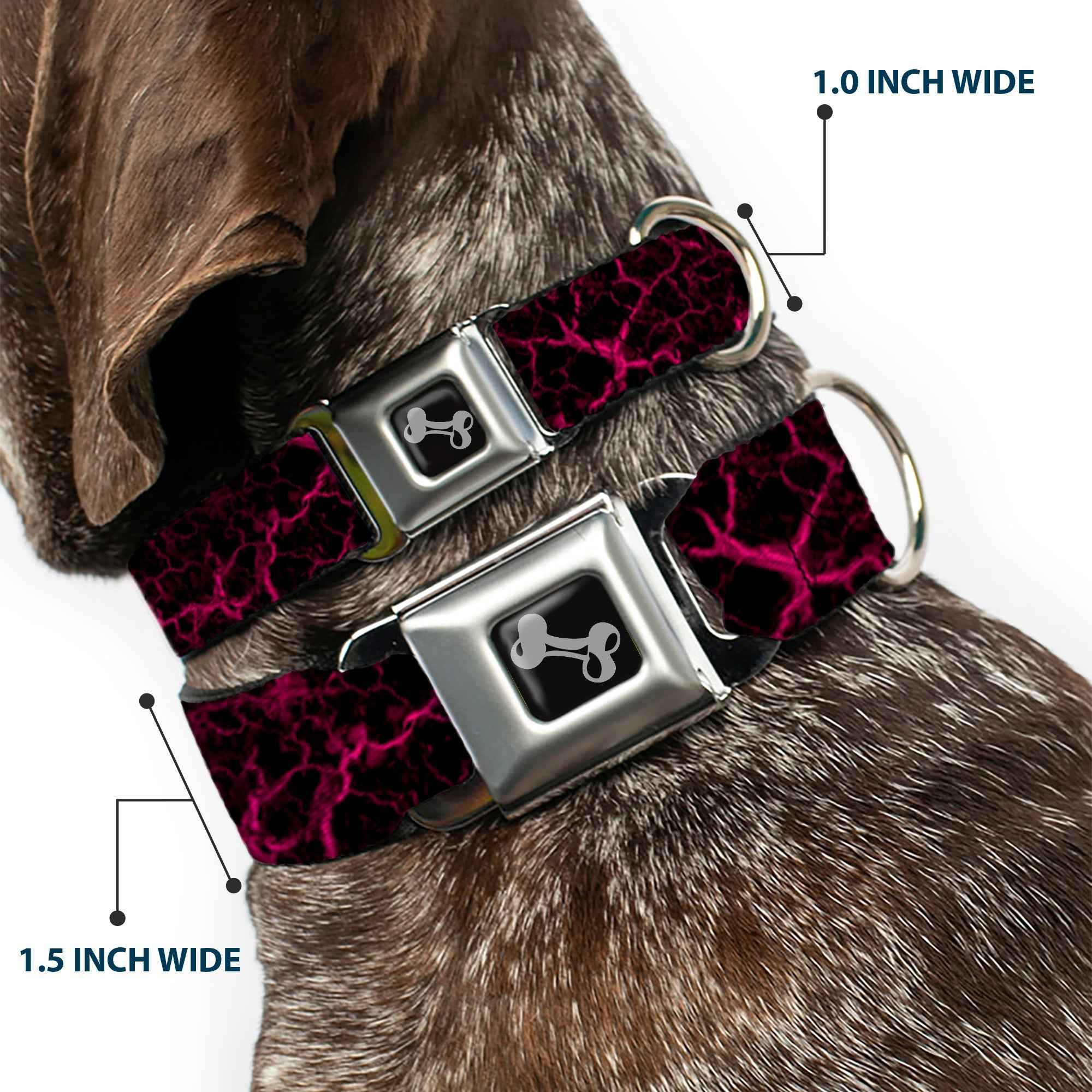 Buckle-Down Dog Bone Black/Silver Seatbelt Buckle Dog Collar - Marble Black/Hot Pink