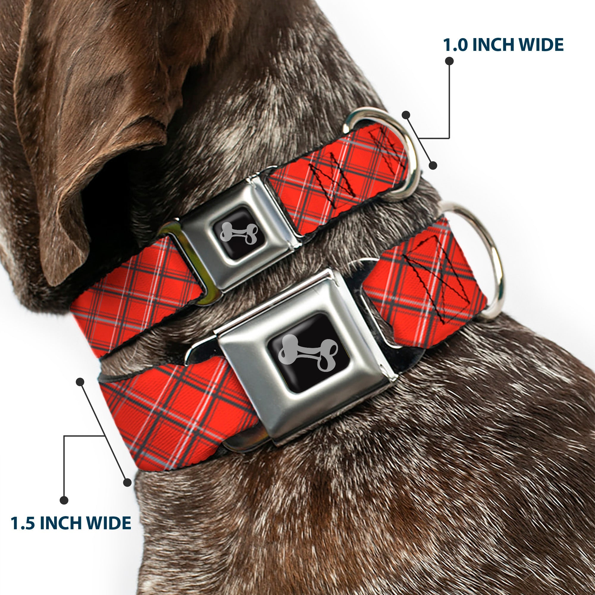 Dog Bone Seatbelt Buckle Collar - Plaid X Orange/Gray
