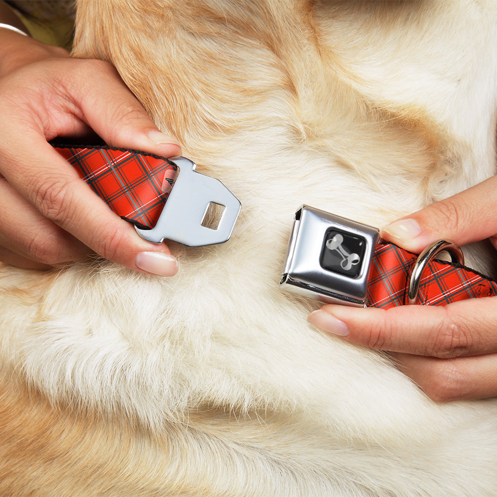Dog Bone Seatbelt Buckle Collar - Plaid X Orange/Gray