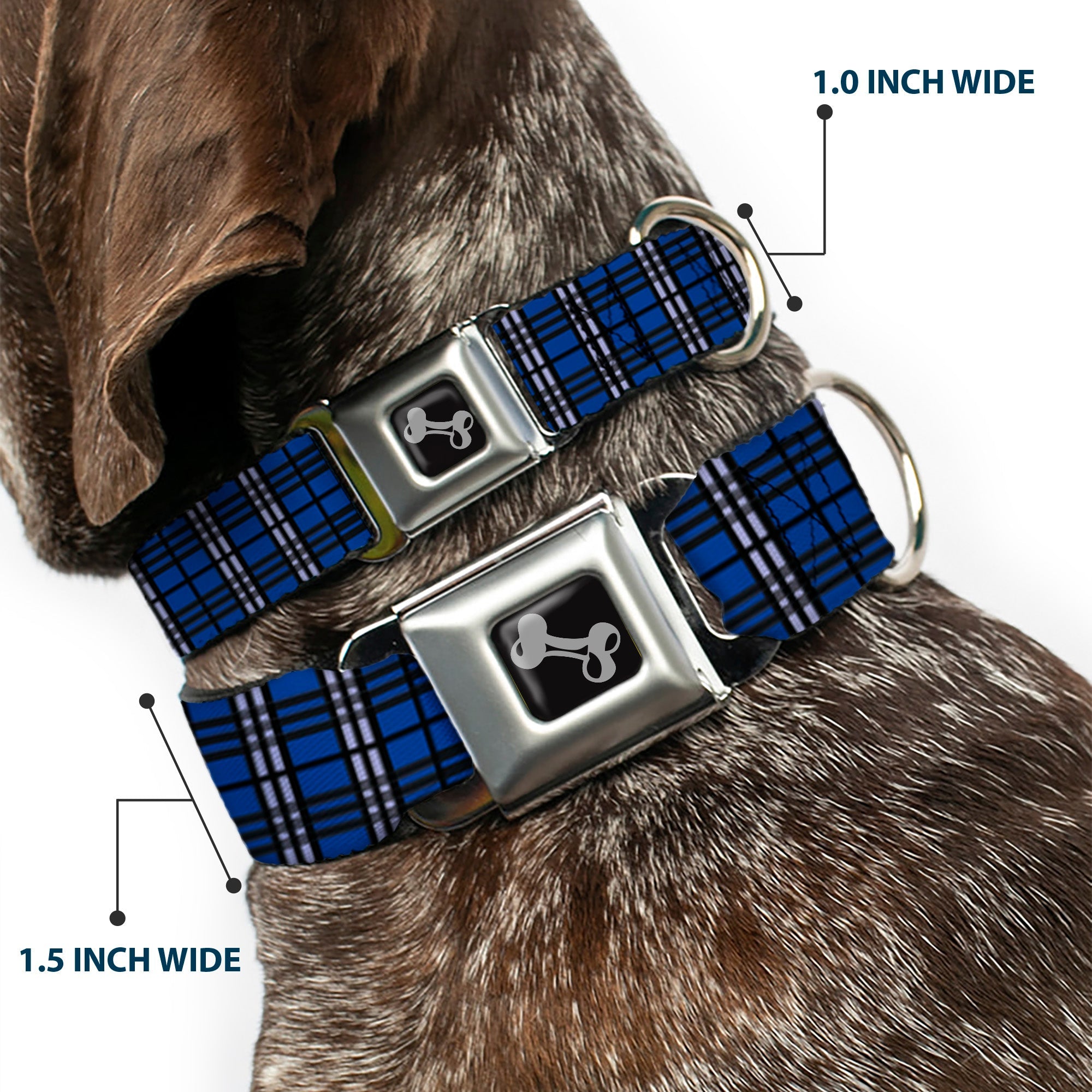 Dog Bone Seatbelt Buckle Collar - Plaid Navy