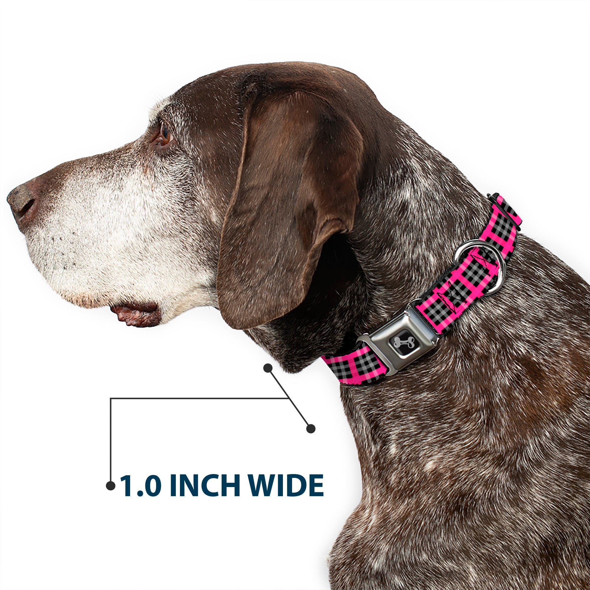 Dog Bone Seatbelt Buckle Collar - Plaid Black/Gray/Fuchsia