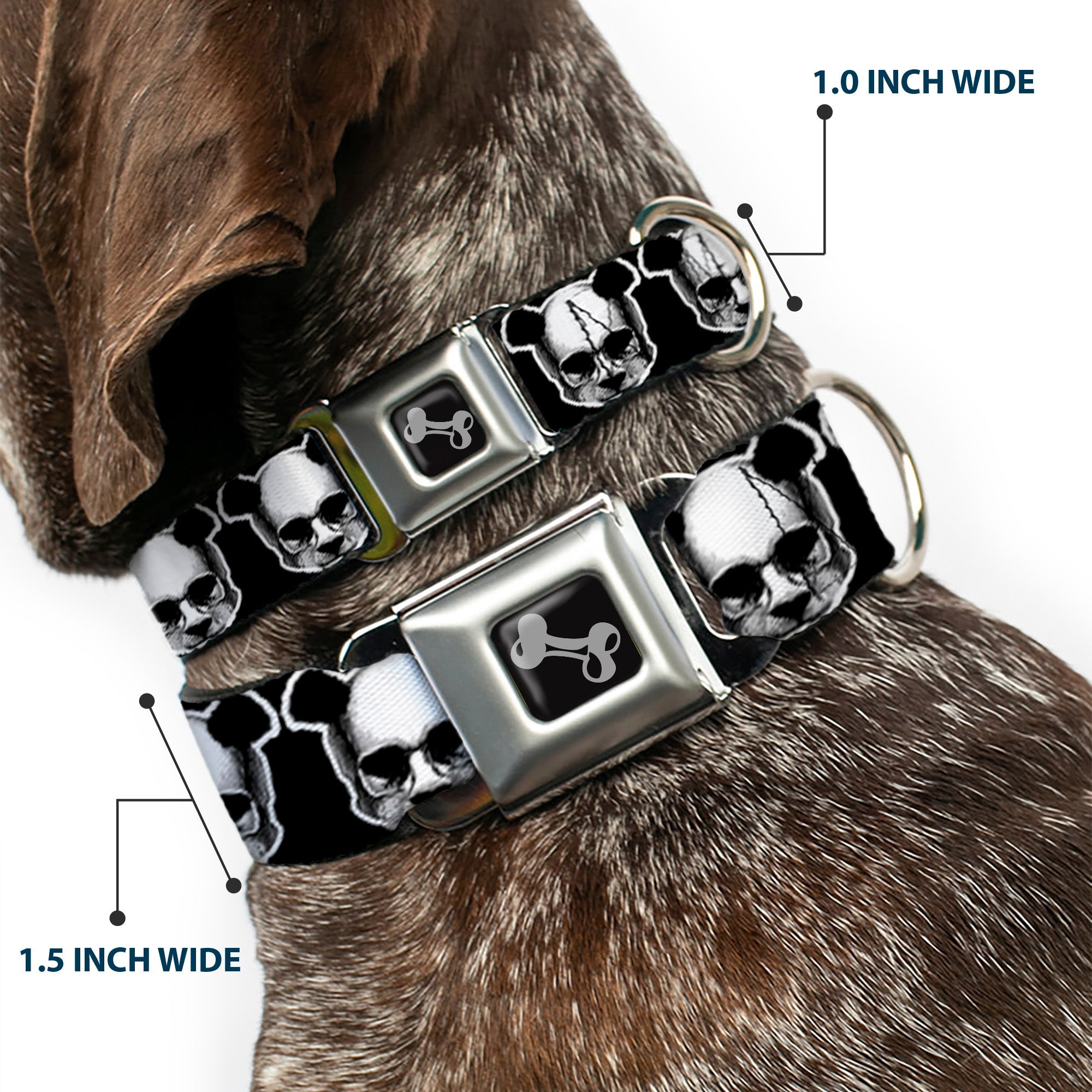 Dog Bone Seatbelt Buckle Collar - Panda Skulls