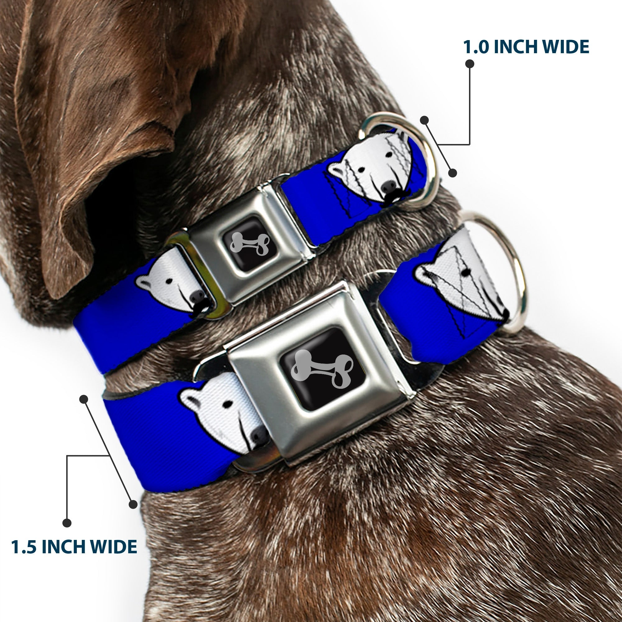 Dog Bone Seatbelt Buckle Collar - Polar Bear w/Mustache Royal