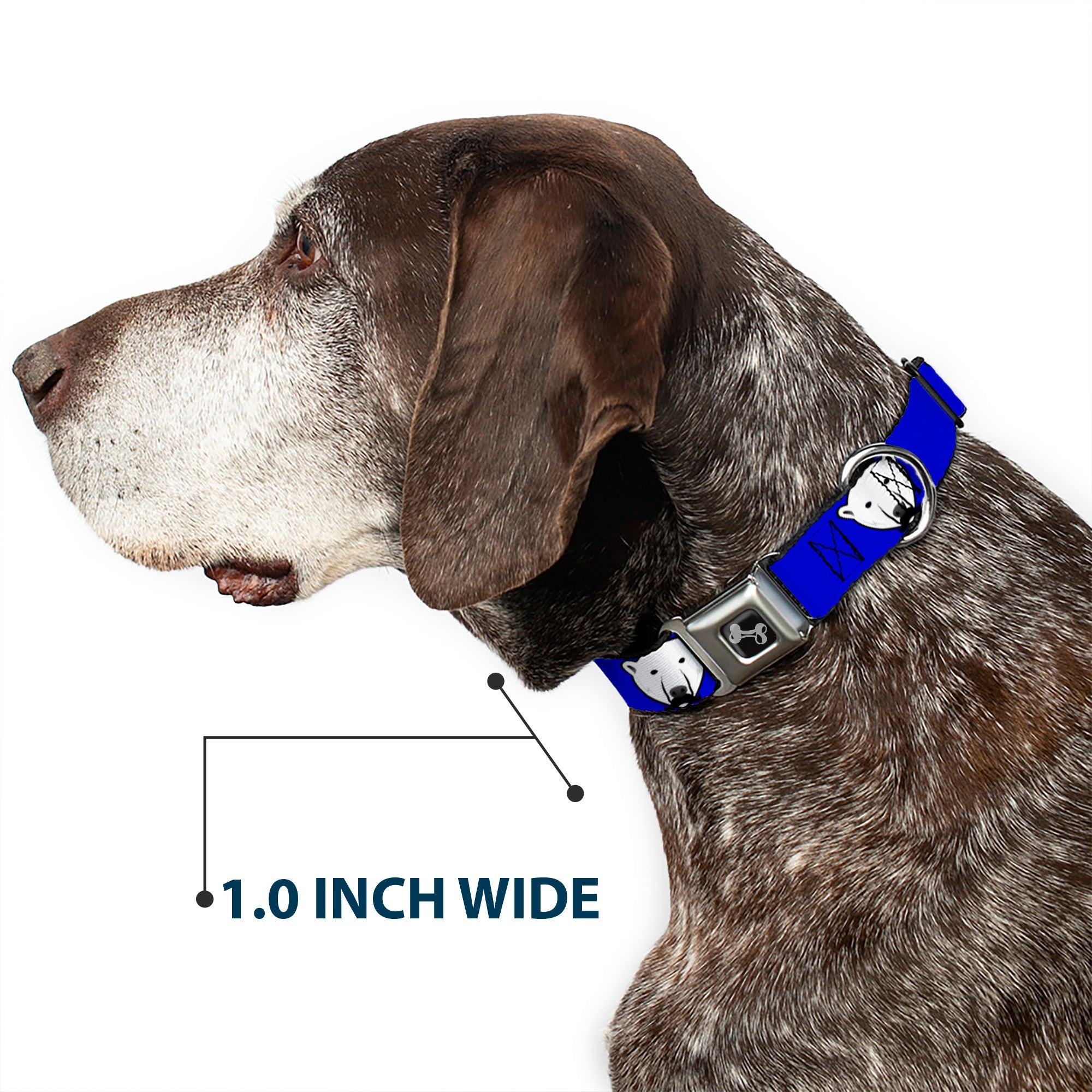 Dog Bone Seatbelt Buckle Collar - Polar Bear w/Mustache Royal