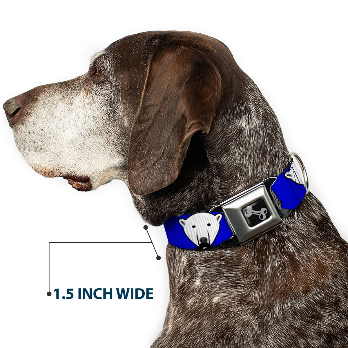 Dog Bone Seatbelt Buckle Collar - Polar Bear w/Mustache Royal