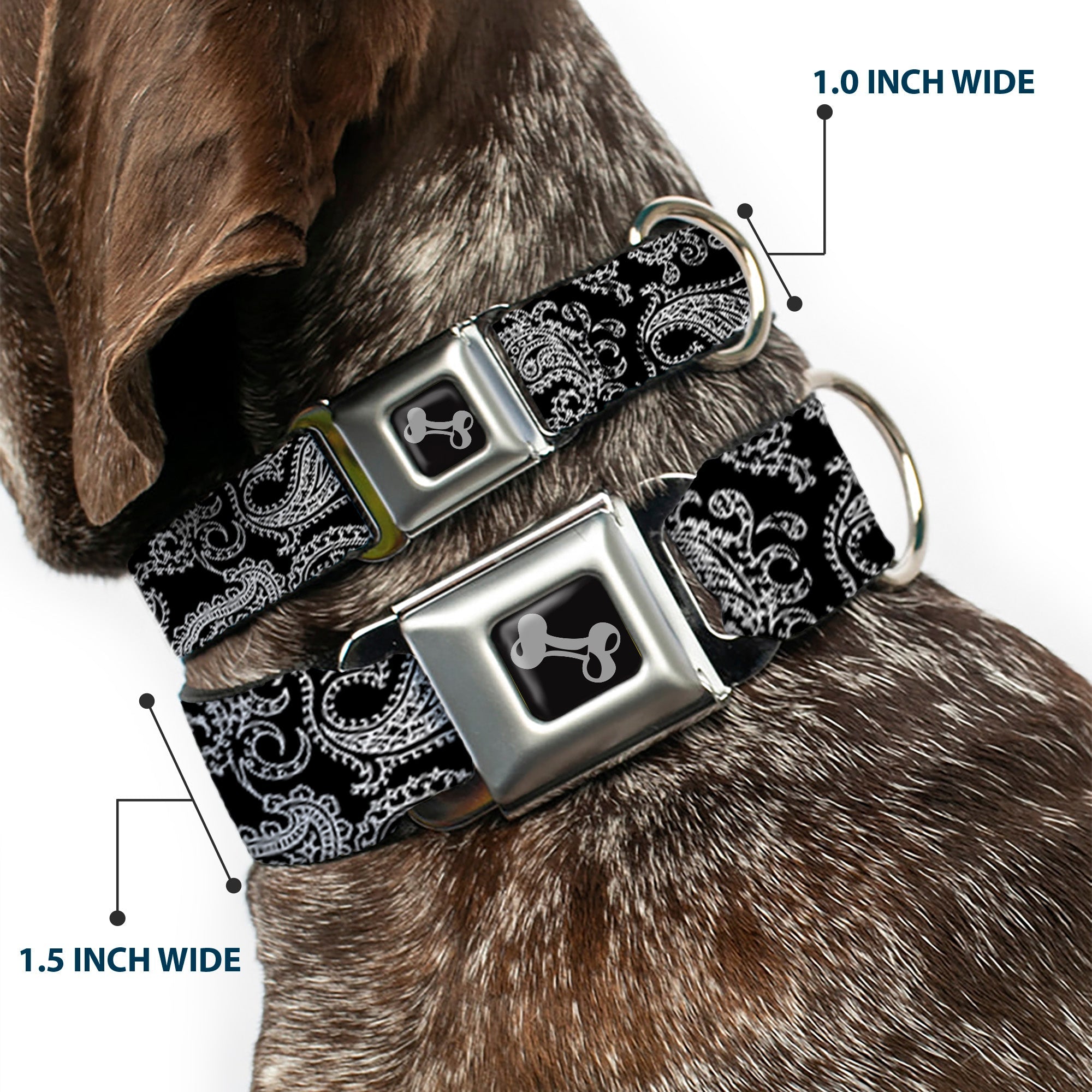 Dog Bone Seatbelt Buckle Collar - Paisley2 Black/White