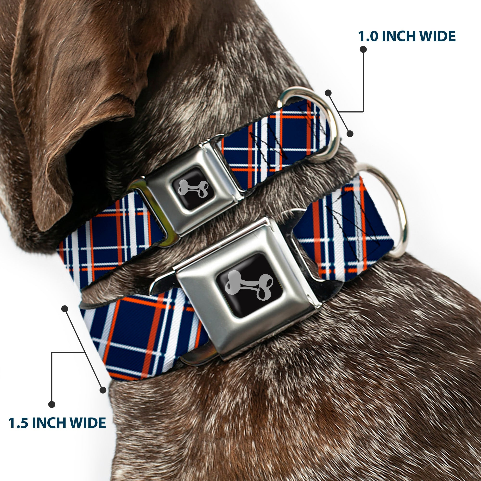 Dog Bone Seatbelt Buckle Collar - Plaid X2 Navy/White/Orange