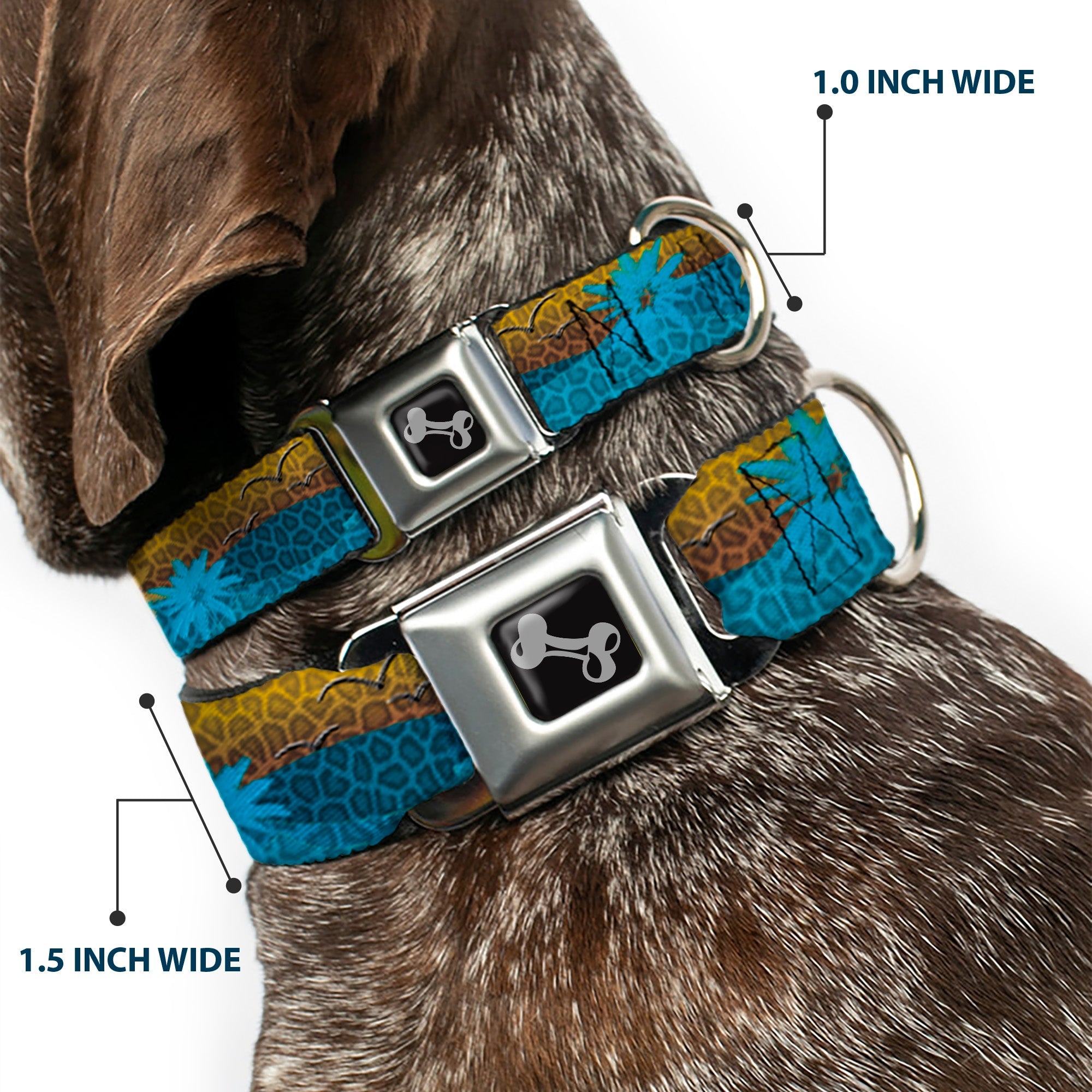 Dog Bone Seatbelt Buckle Collar - Palm Trees & Gulls Leopard Brown/Blue
