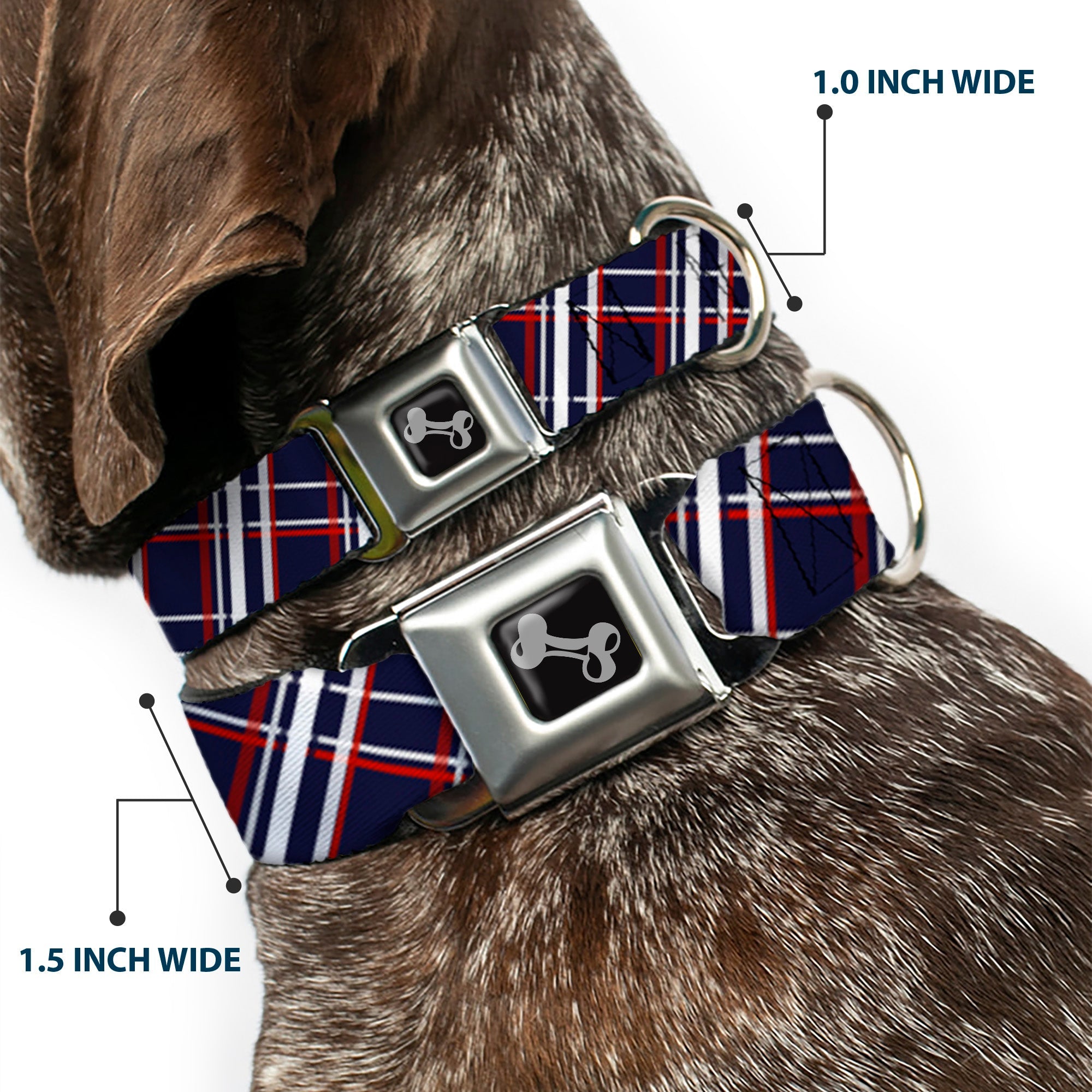 Dog Bone Seatbelt Buckle Collar - Plaid X Blue/White/Red