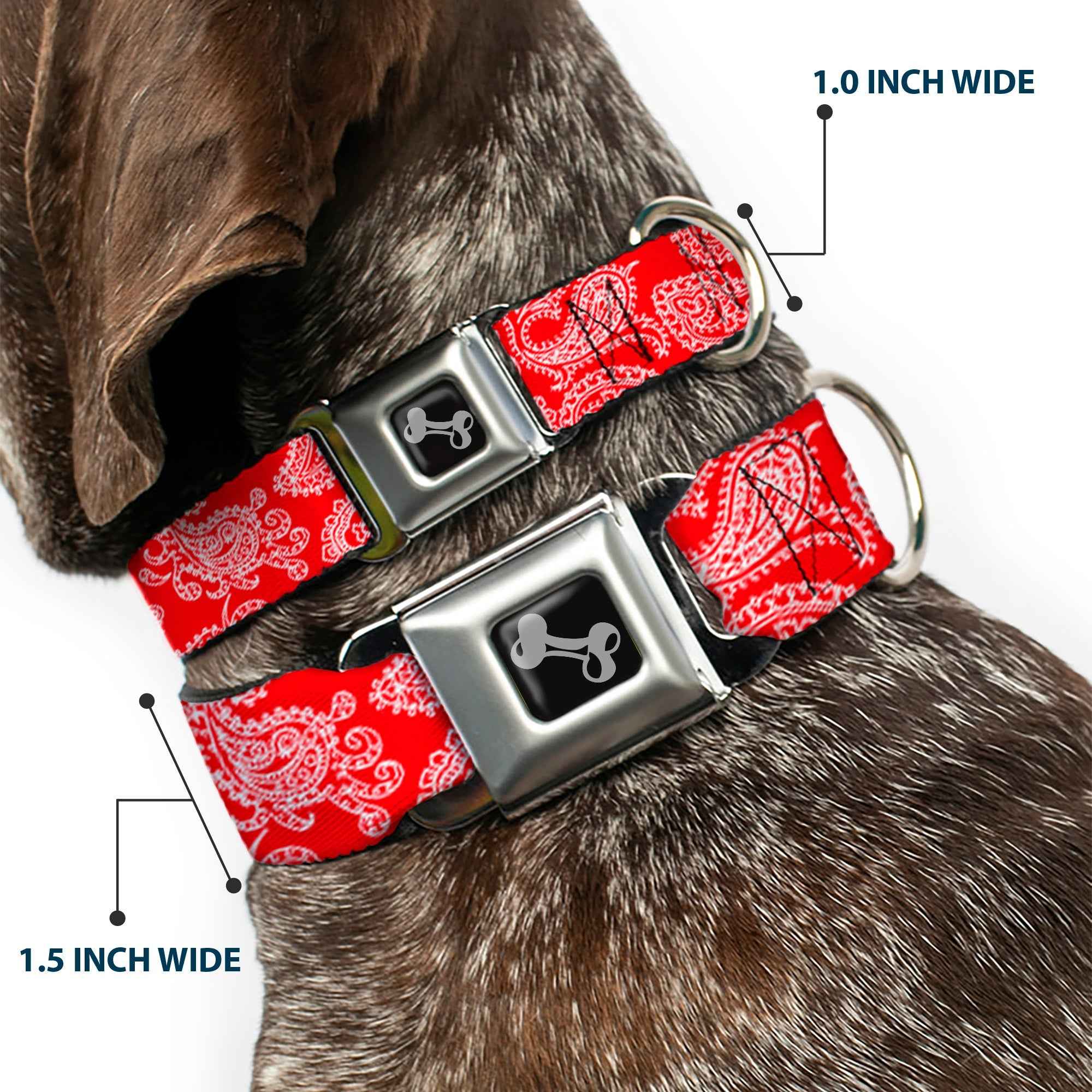 Buckle-Down Paisley Red/White Seatbelt Buckle Dog Collar