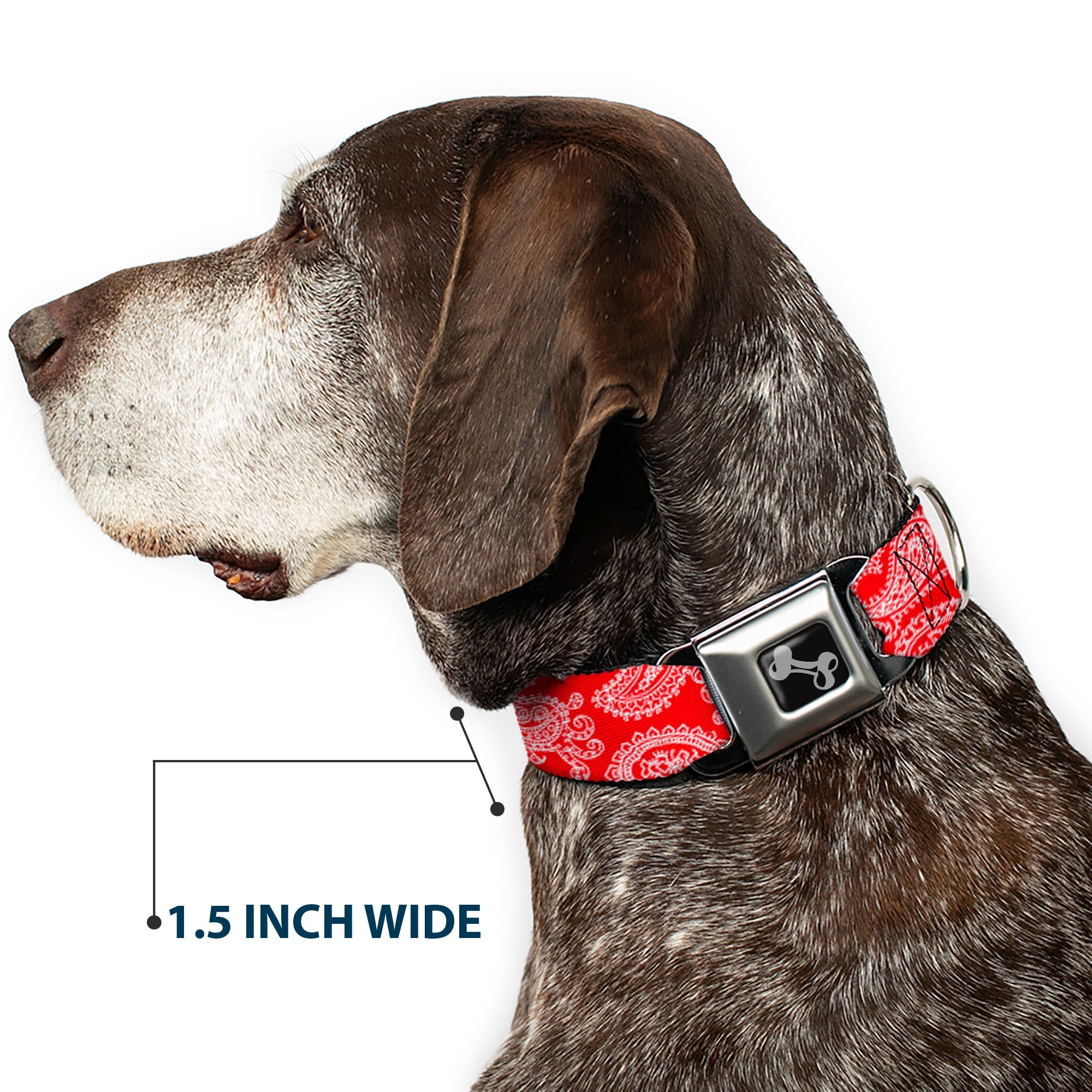 Buckle-Down Paisley Red/White Seatbelt Buckle Dog Collar