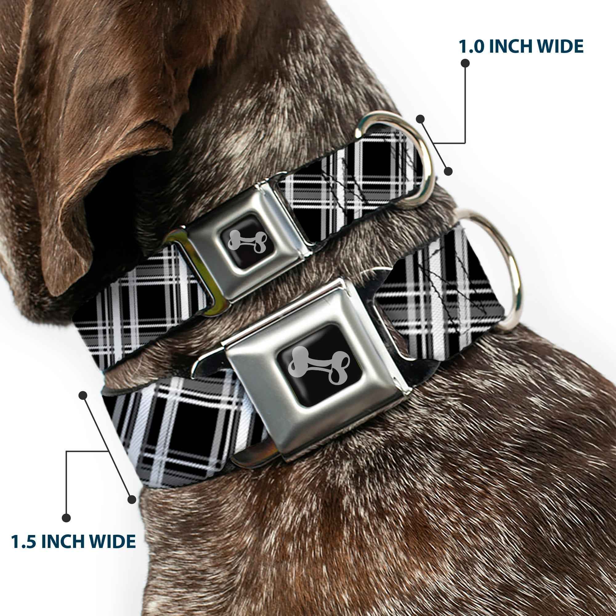 Buckle-Down Plaid X2 Black/Grays/White Seatbelt Buckle Dog Collar
