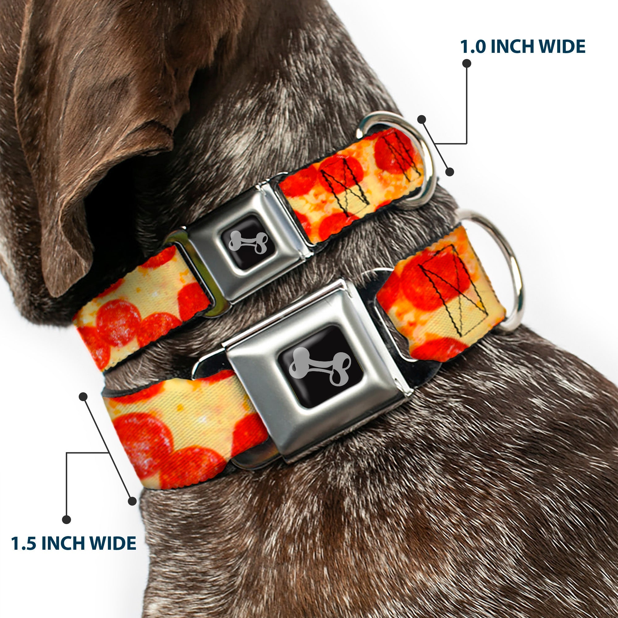 Dog Bone Seatbelt Buckle Collar - Pepperoni Pizza Vivid