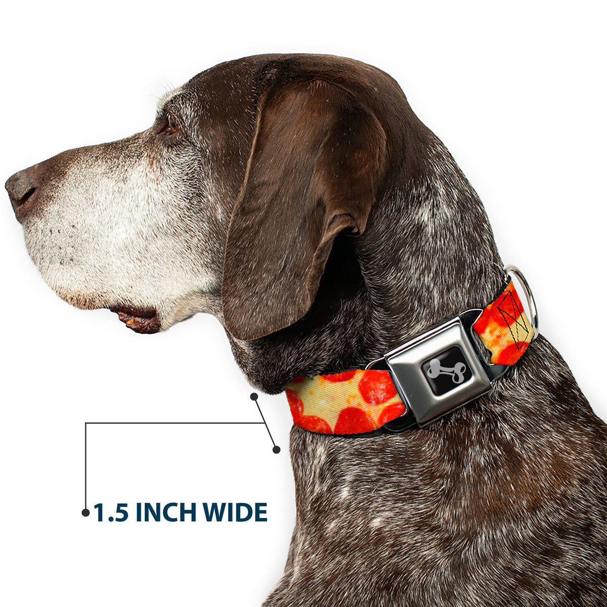 Dog Bone Seatbelt Buckle Collar - Pepperoni Pizza Vivid
