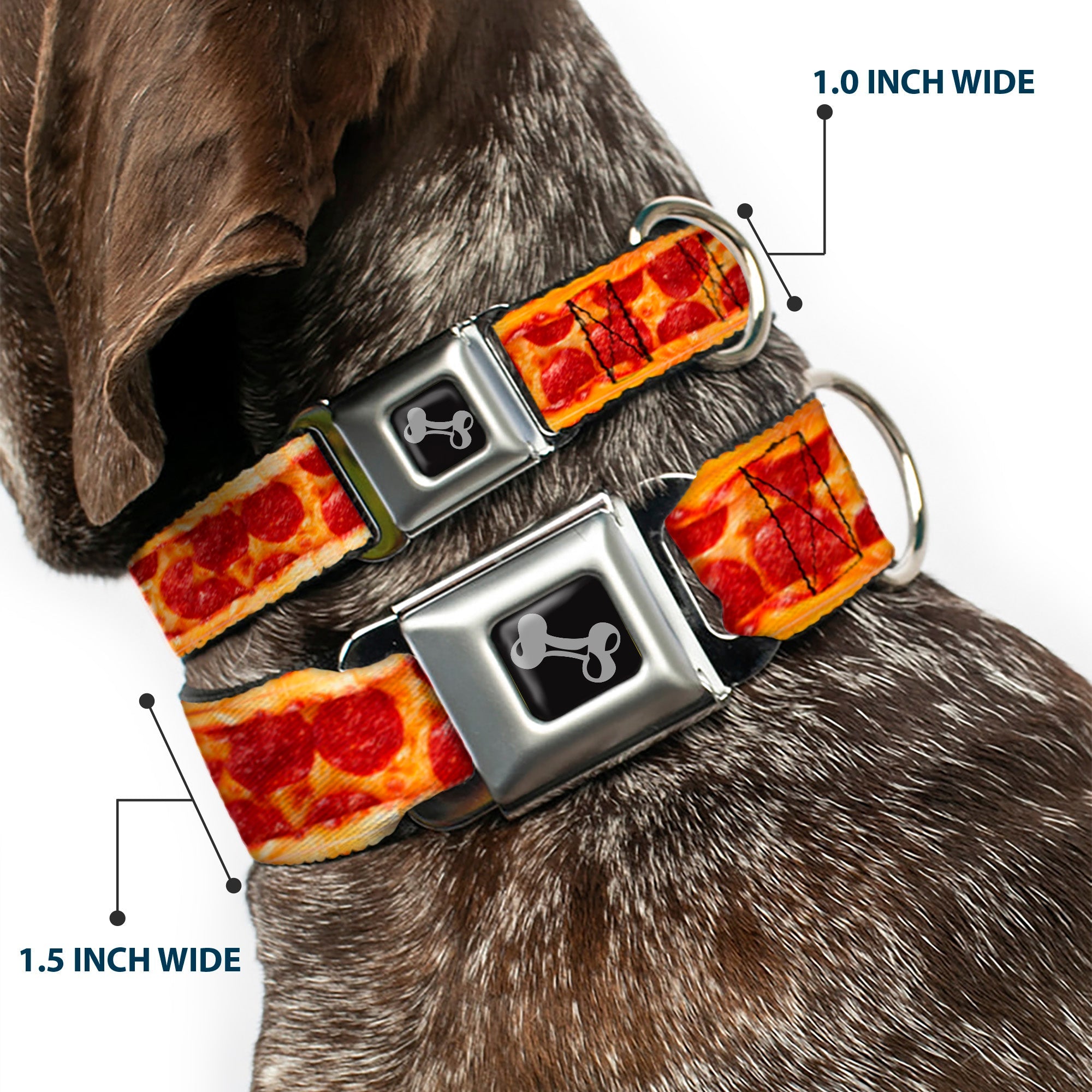 Dog Bone Seatbelt Buckle Collar - Pepperoni Pizza w/Crust Vivid
