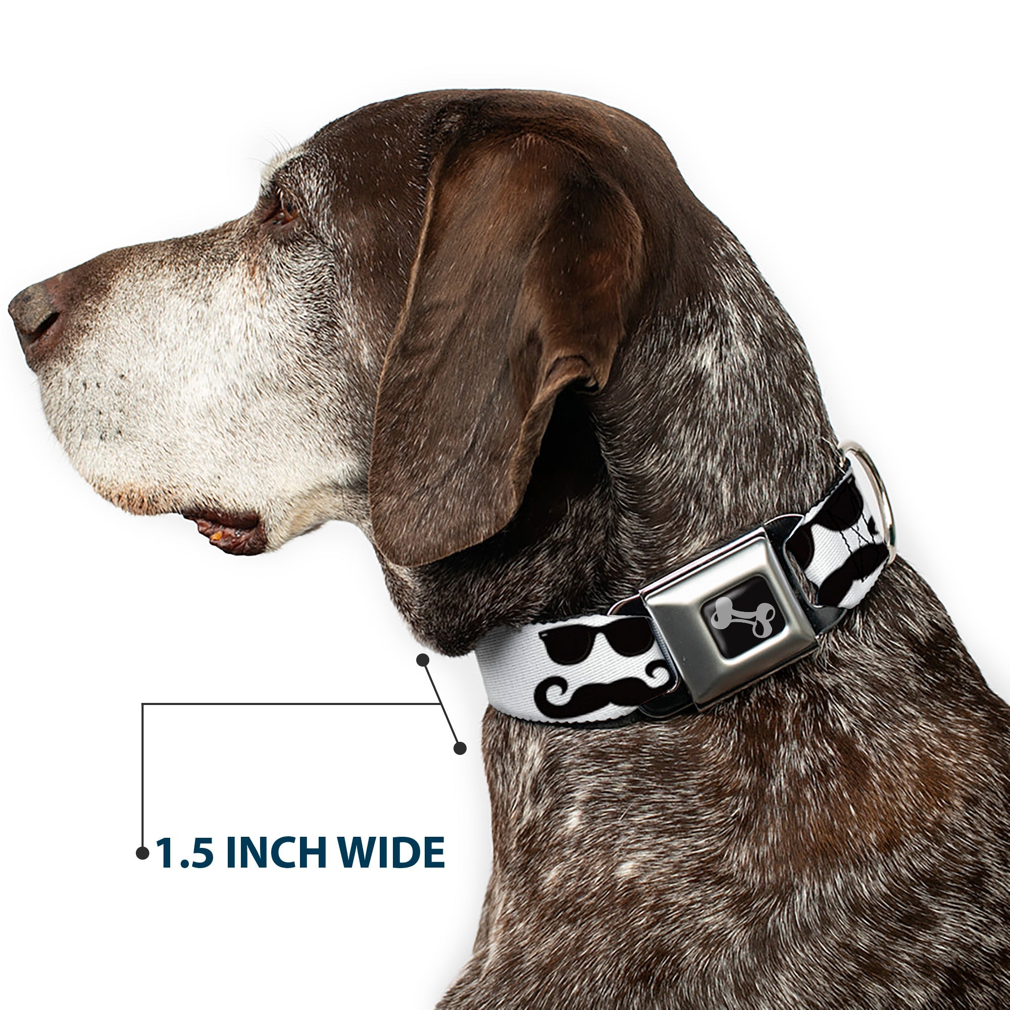 Dog Bone Seatbelt Buckle Collar - Sunglasses & Mustache White/Black