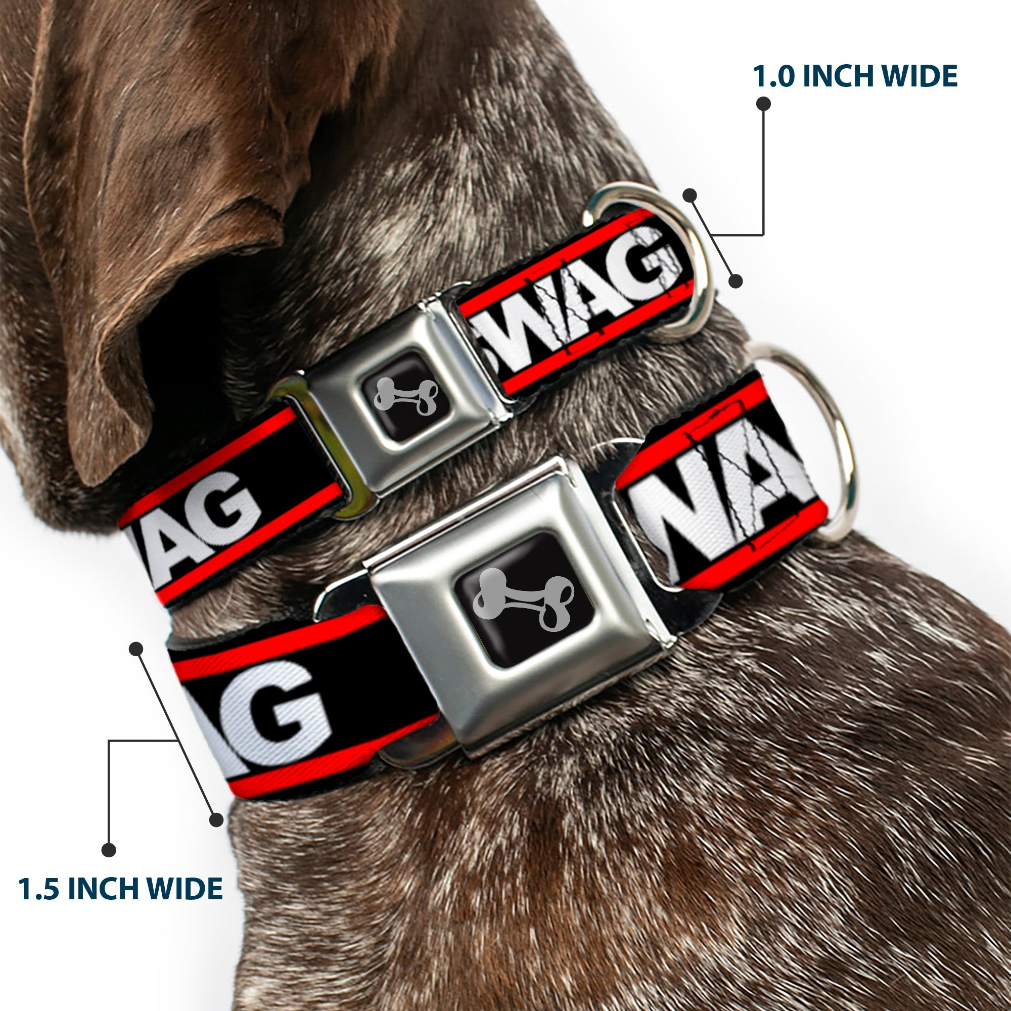 Dog Bone Seatbelt Buckle Collar - SWAGG Black/White/Red Stripe