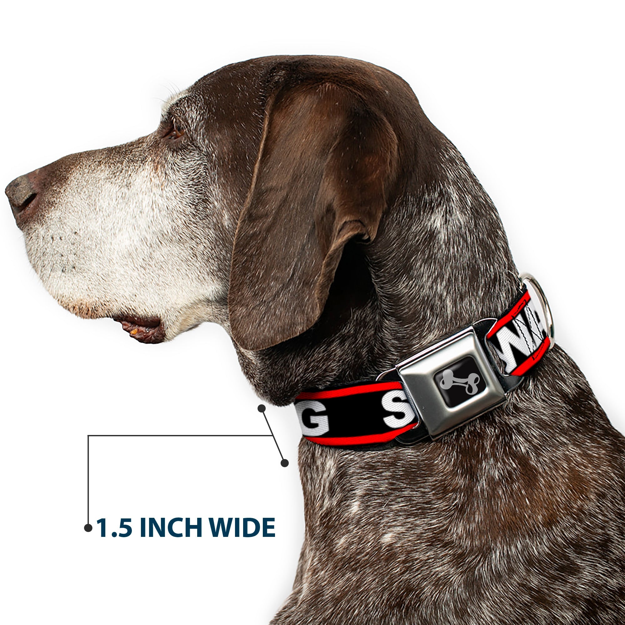 Dog Bone Seatbelt Buckle Collar - SWAGG Black/White/Red Stripe