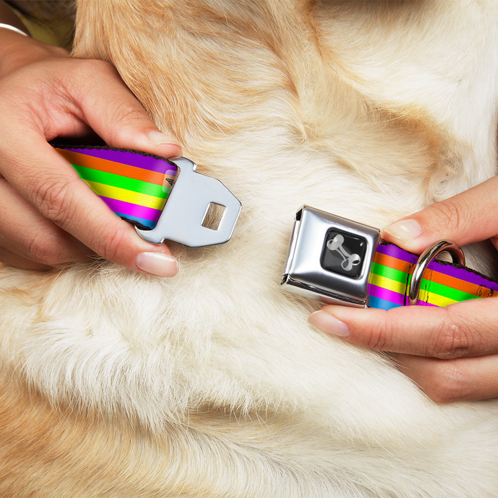 Dog Bone Seatbelt Buckle Collar - Stripes Purple/Orange/Green/Yellow/Pink/Blue
