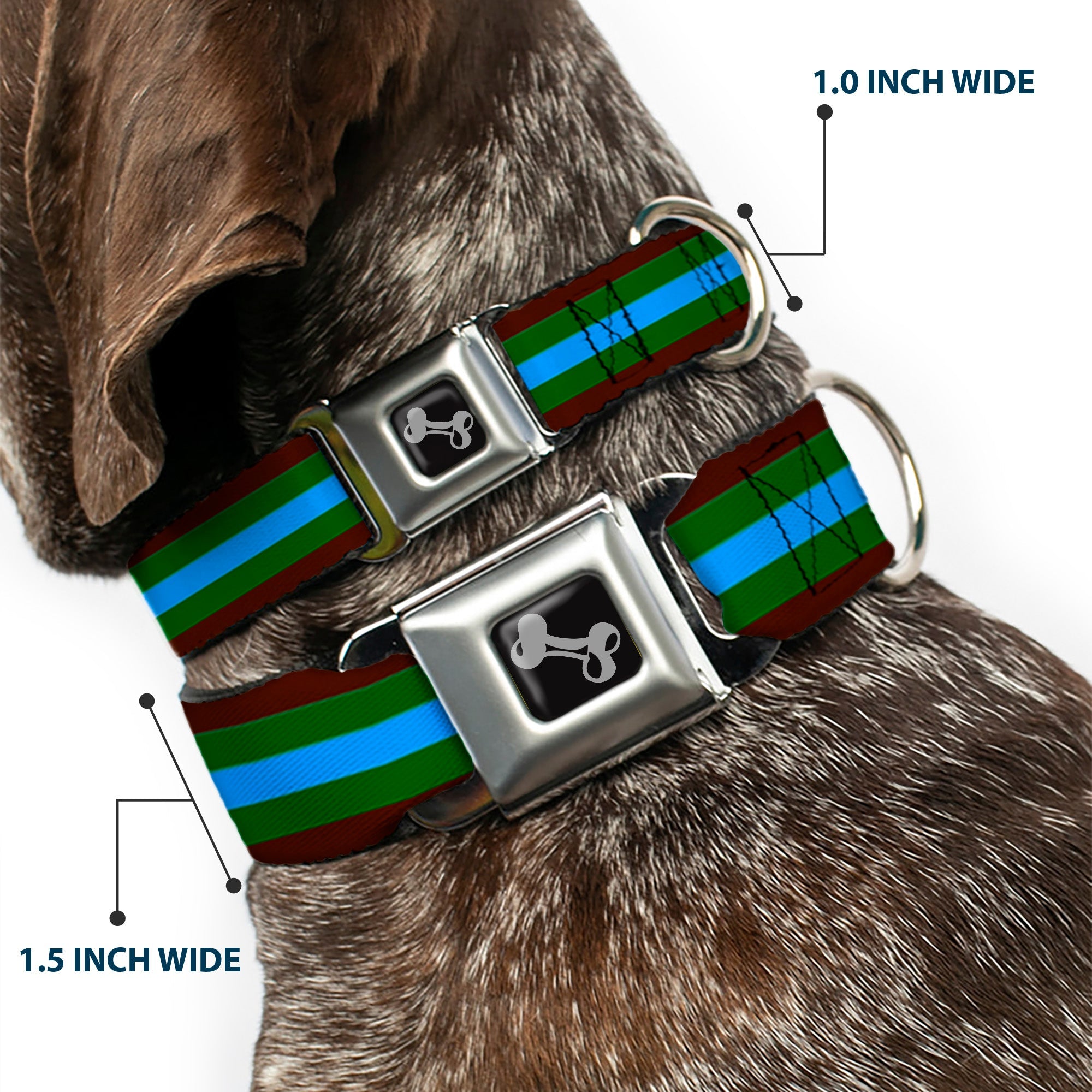 Dog Bone Seatbelt Buckle Collar - Stripes Brown/Green/Baby Blue