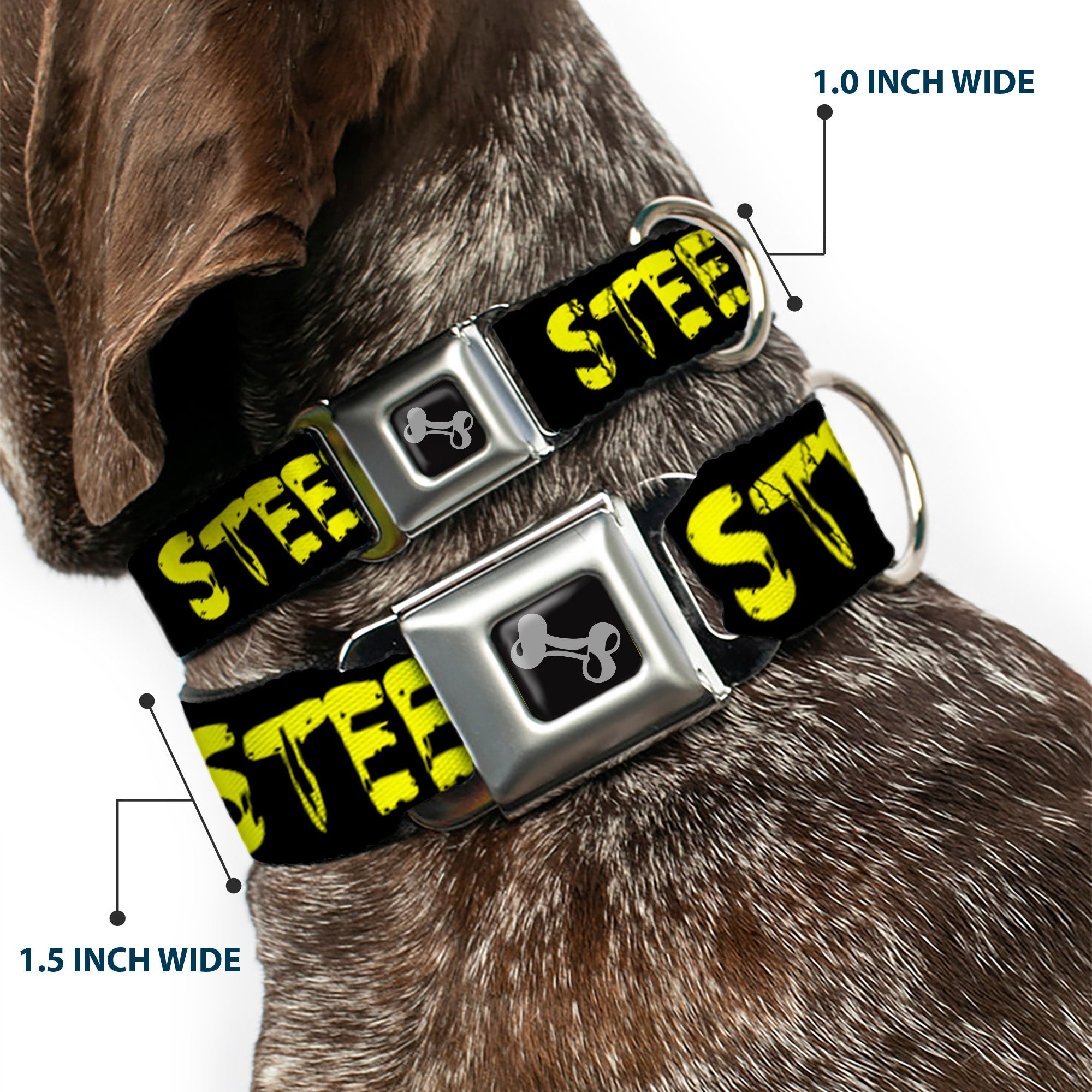 Dog Bone Seatbelt Buckle Collar - STEEZ Brushed Black/Yellow