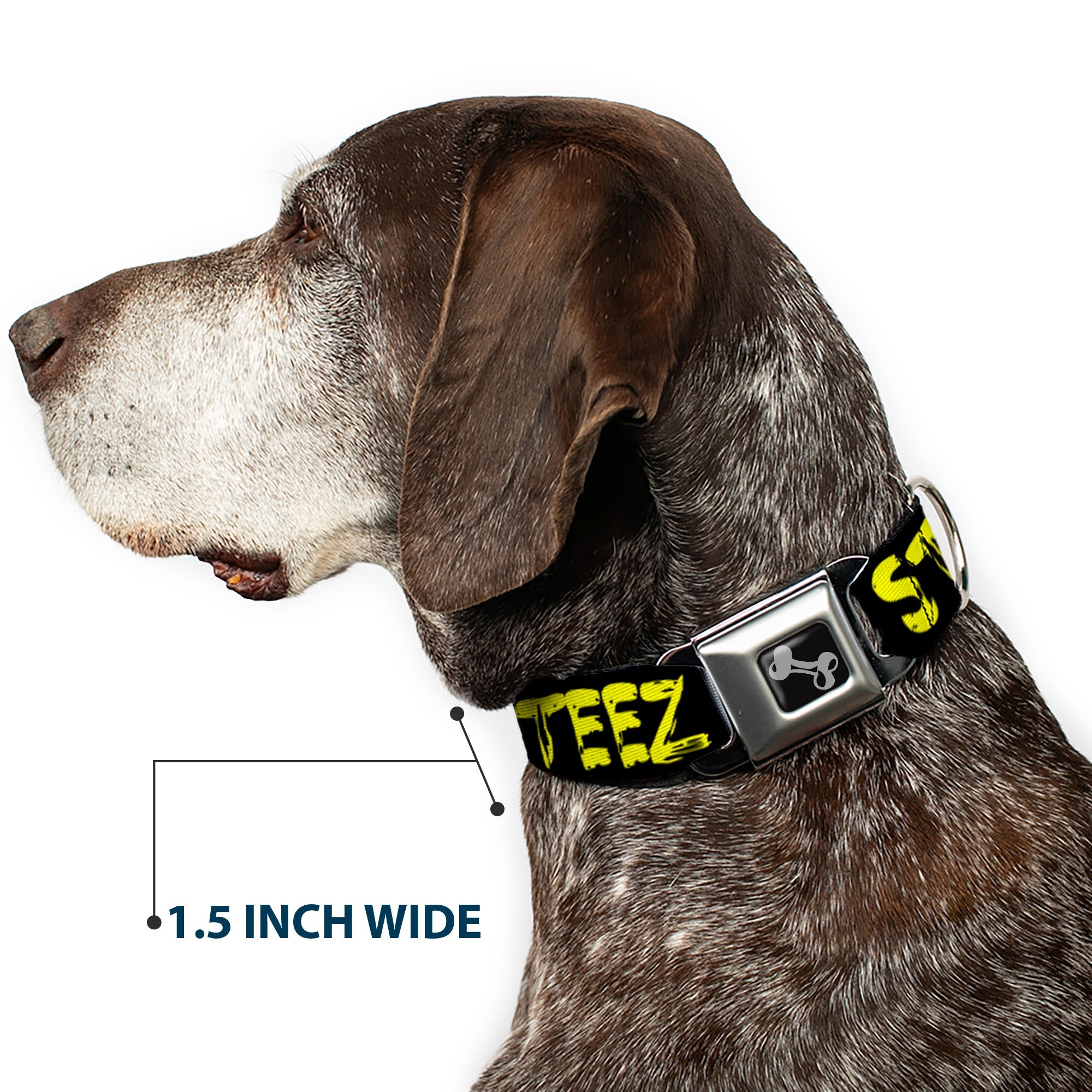 Dog Bone Seatbelt Buckle Collar - STEEZ Brushed Black/Yellow
