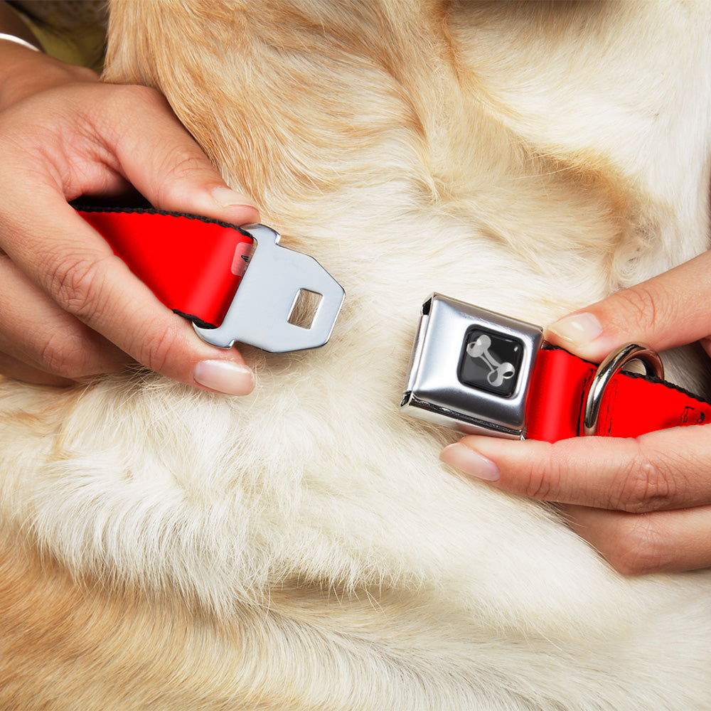Dog Bone Seatbelt Buckle Collar - STEEZ Flat Red/White