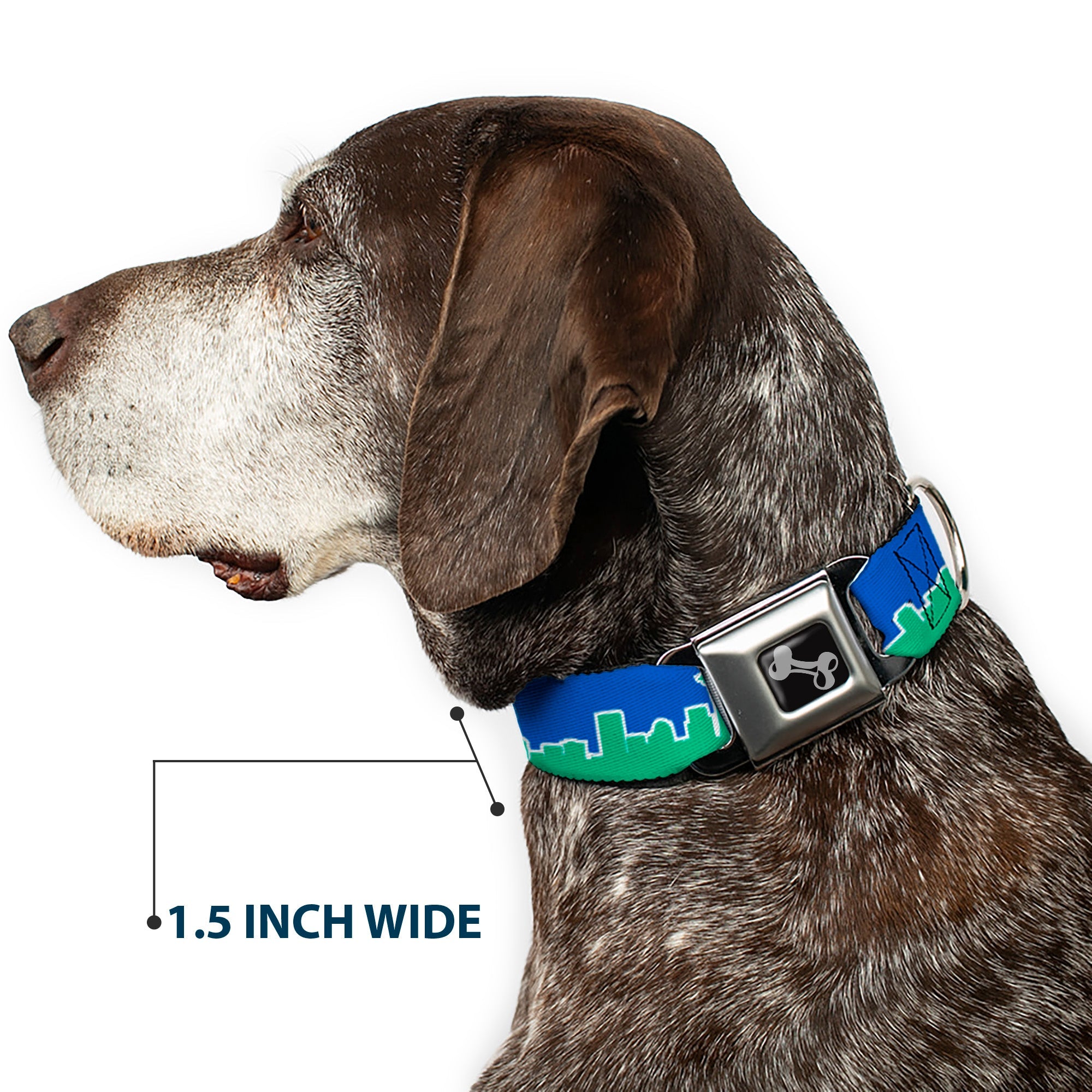 Dog Bone Seatbelt Buckle Collar - Seattle Skyline Blue/Green