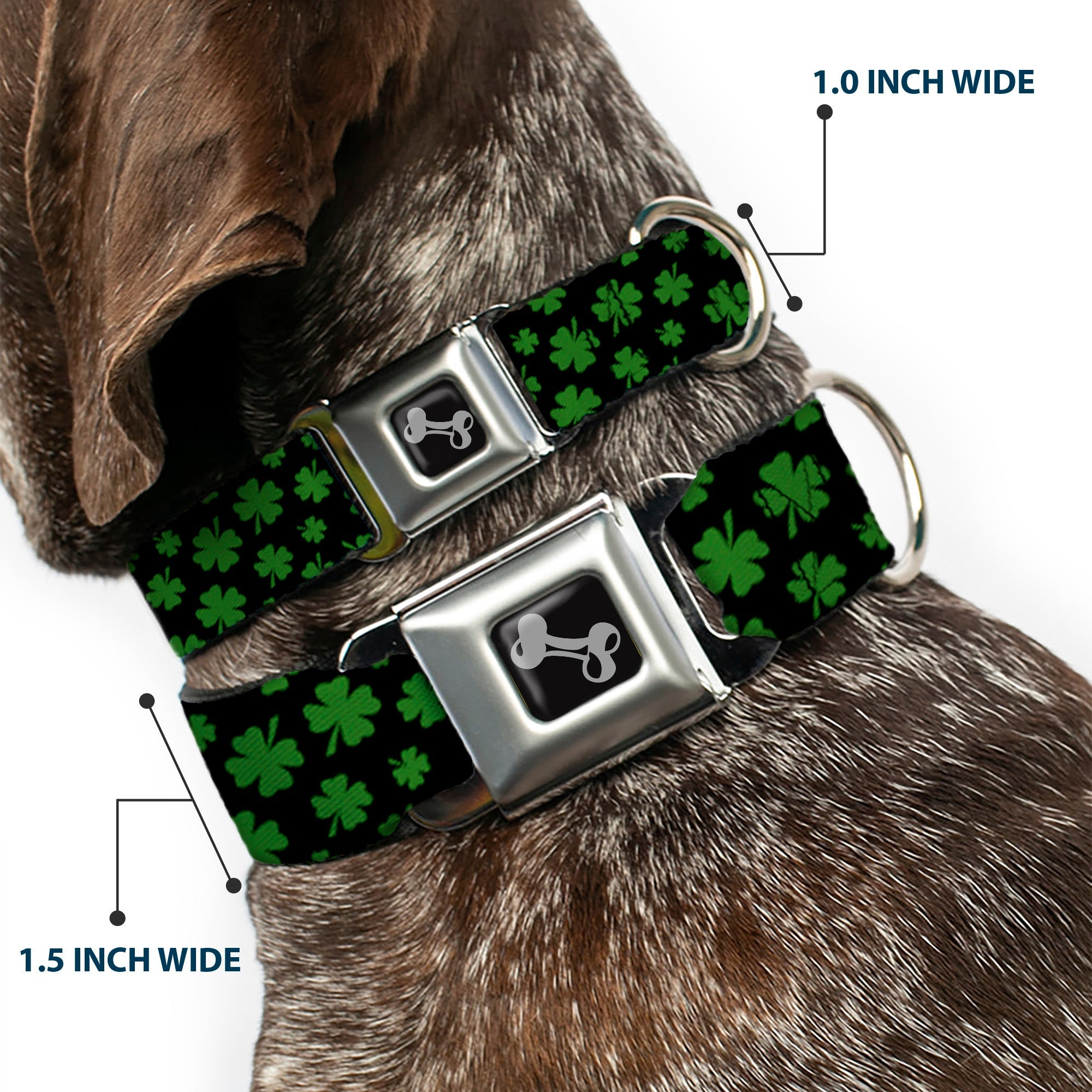 Dog Bone Seatbelt Buckle Collar - St. Pats Clovers Scattered Black/Green
