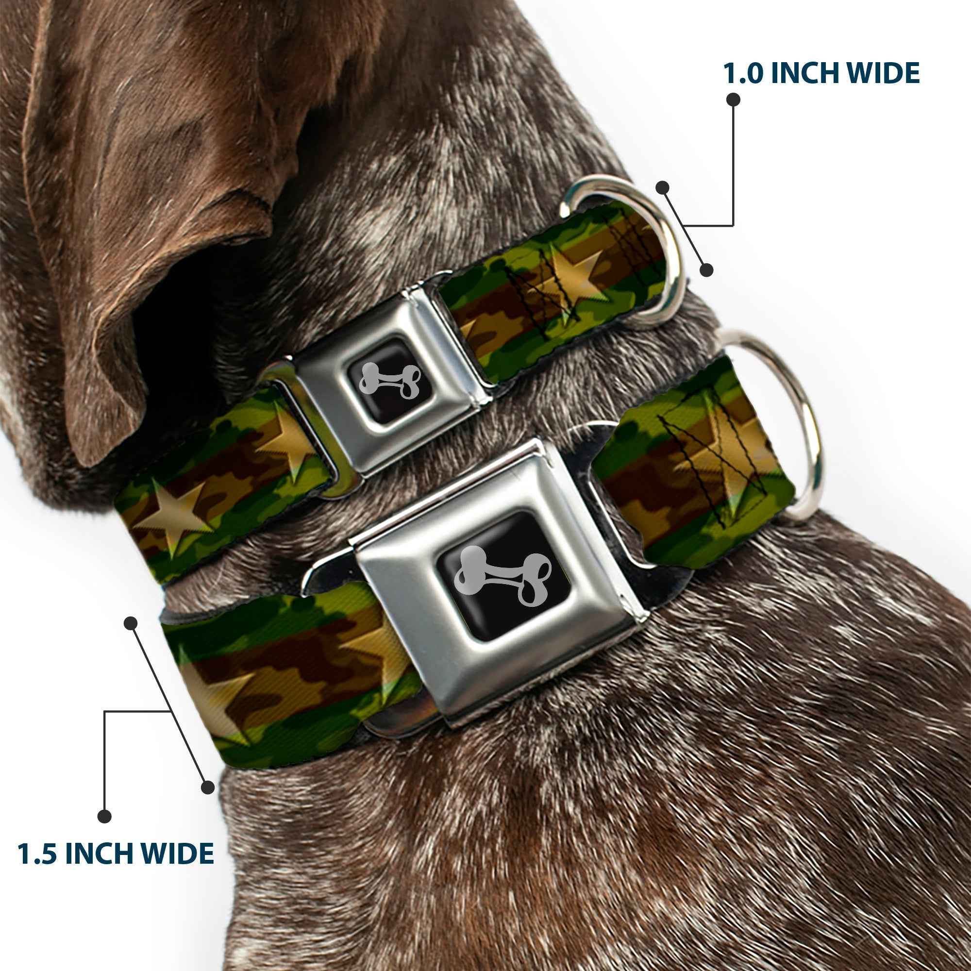 Buckle-Down Star Camo Olive/Gold Seatbelt Buckle Dog Collar