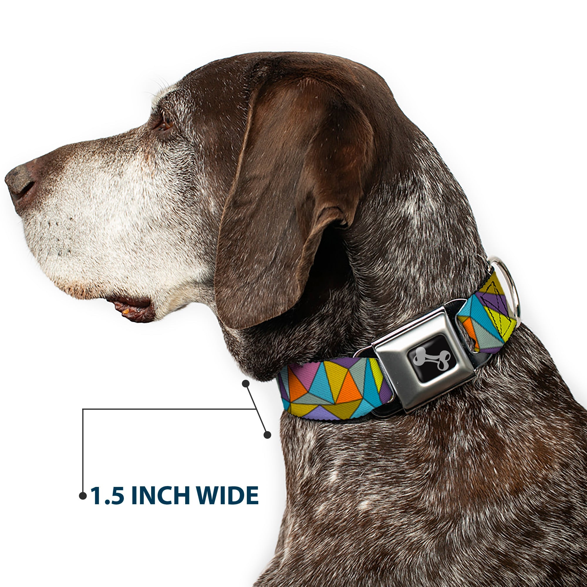 Dog Bone Seatbelt Buckle Collar - Stained Glass Mosaic Multi Color