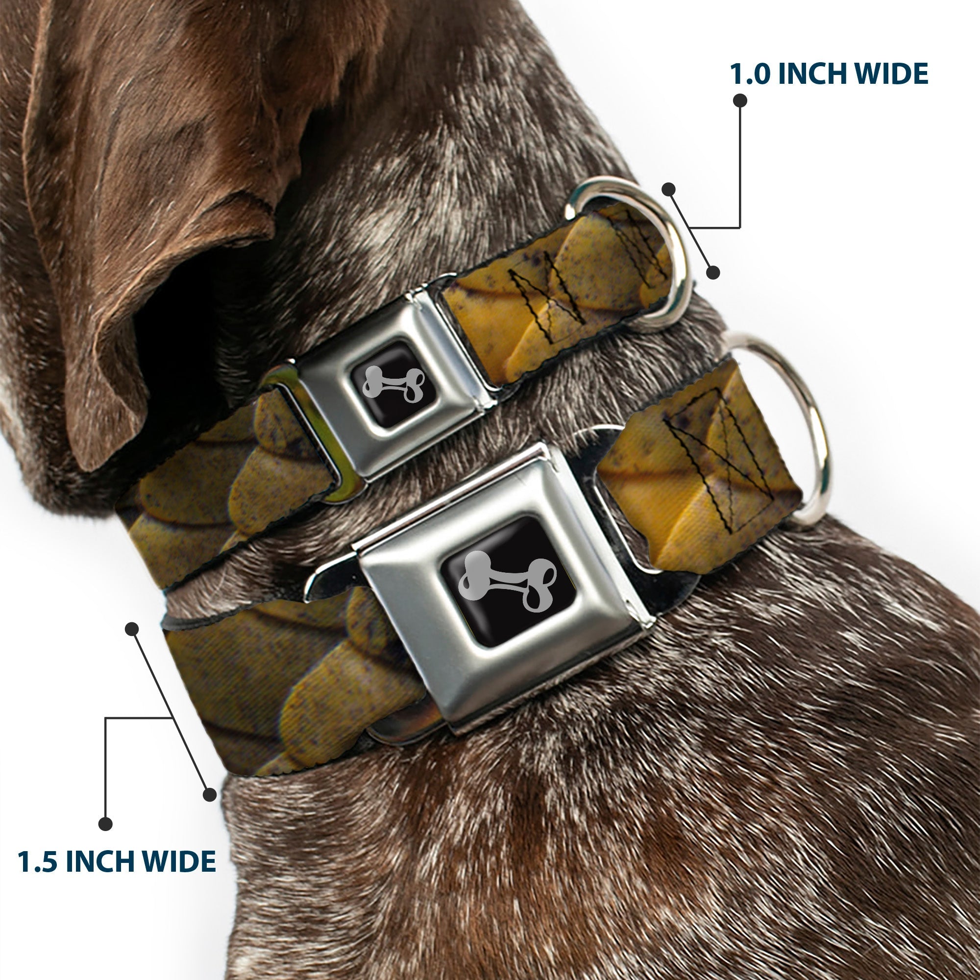 Dog Bone Seatbelt Buckle Collar - Snake Skin CLOSE-UP