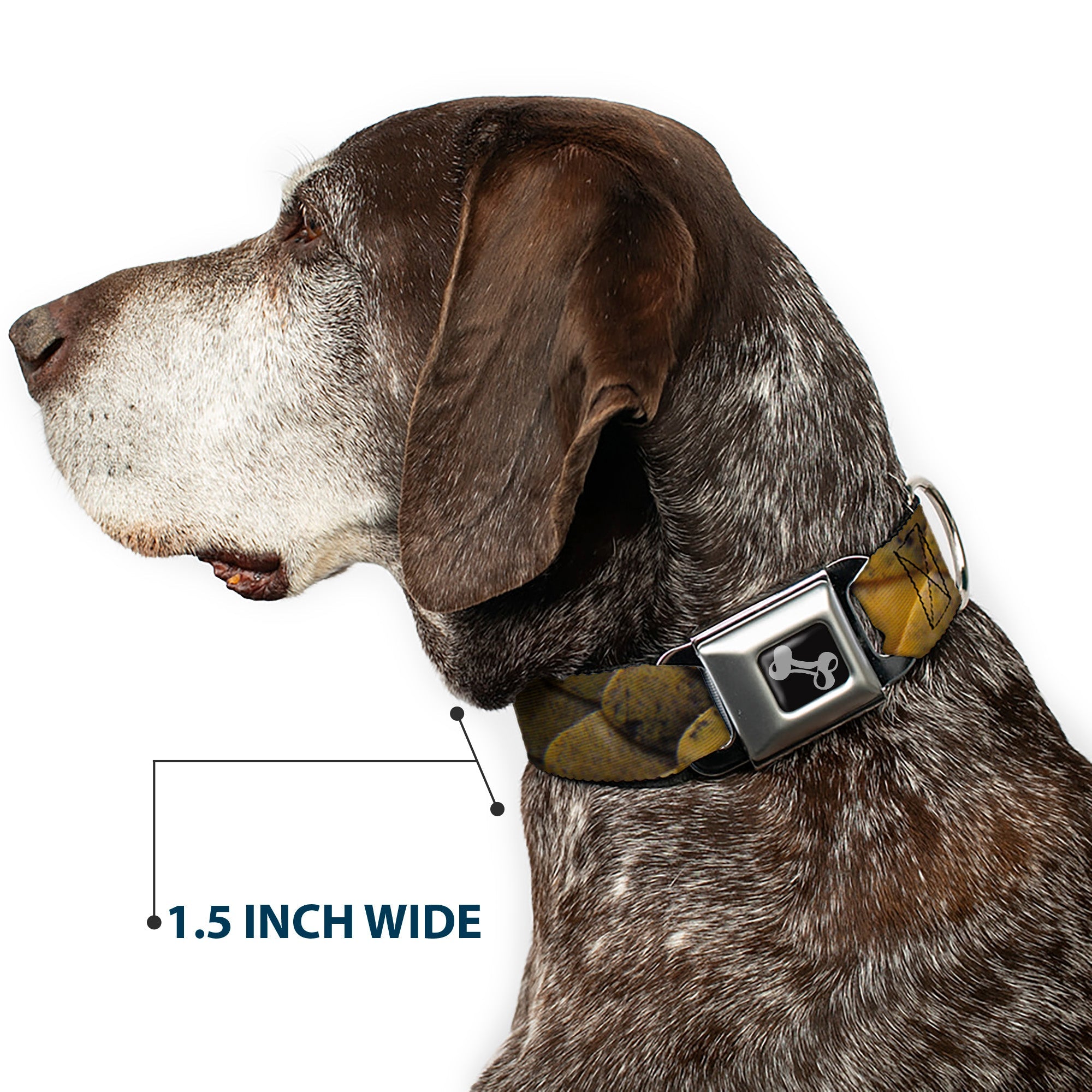 Dog Bone Seatbelt Buckle Collar - Snake Skin CLOSE-UP