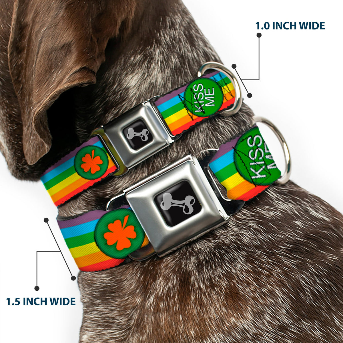 Dog Bone Seatbelt Buckle Collar - St. Pats Rainbow/Coins