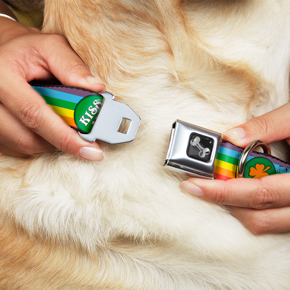 Dog Bone Seatbelt Buckle Collar - St. Pats Rainbow/Coins