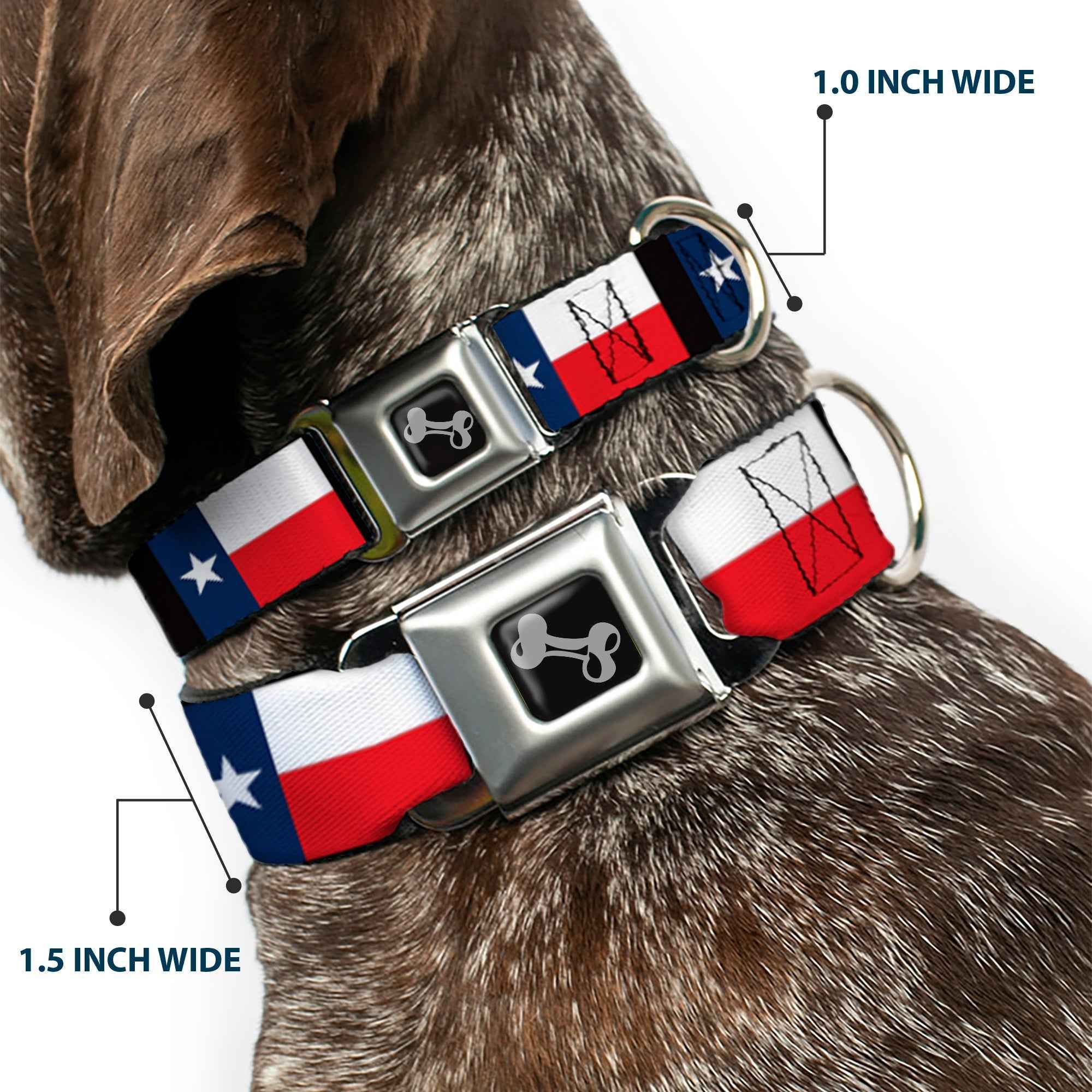 Buckle-Down Texas Flag/Black Seatbelt Buckle Dog Collar