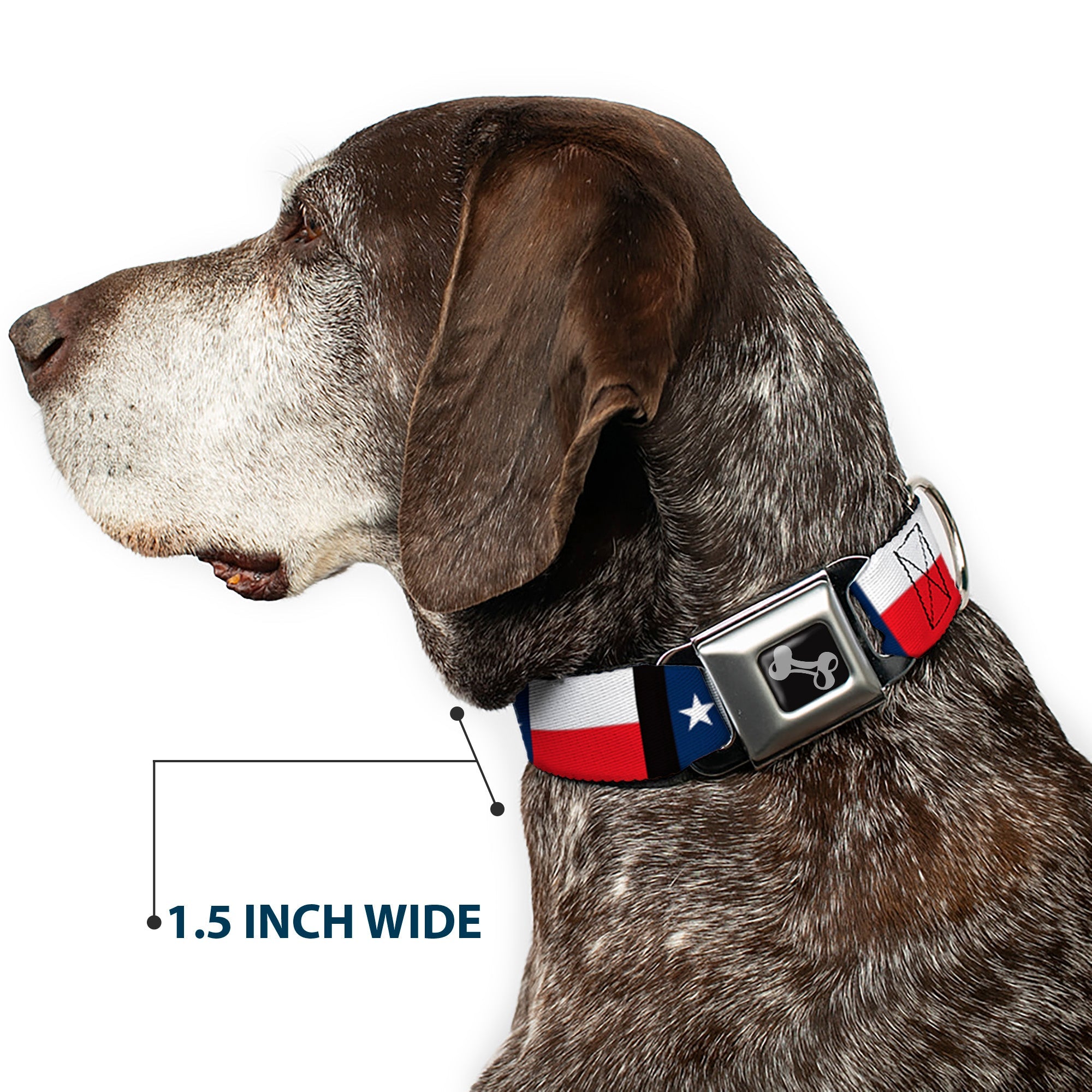 Buckle-Down Texas Flag/Black Seatbelt Buckle Dog Collar