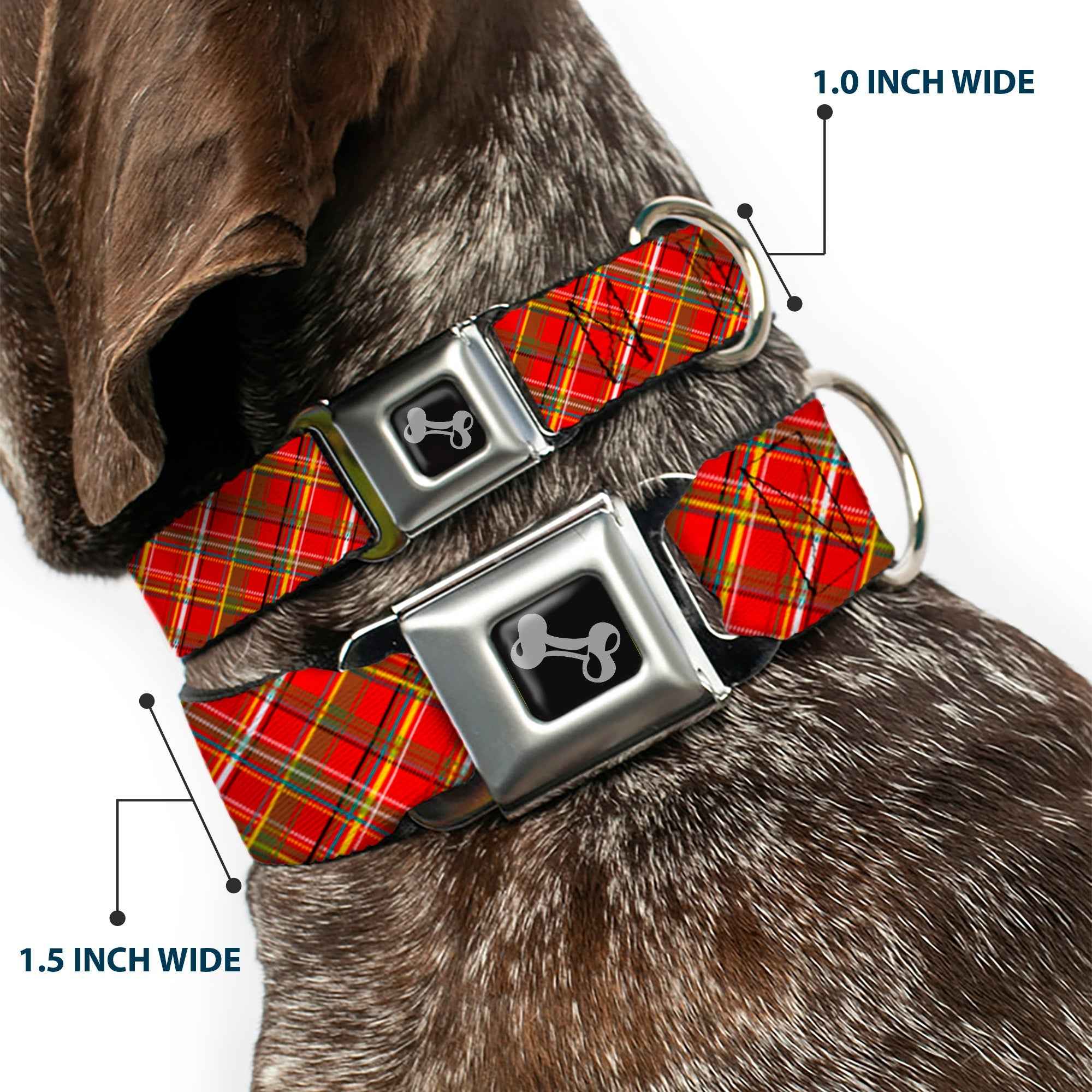 Buckle-Down Tartan Plaid2 Red/Green/Yellow Seatbelt Buckle Dog Collar